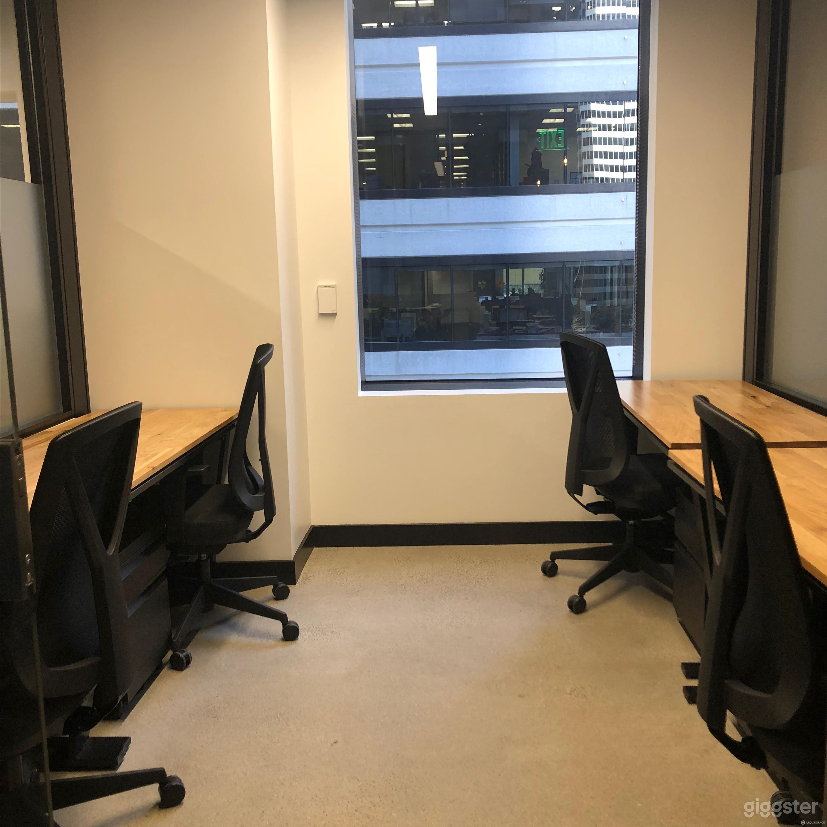 Private Office for 4 Photo 2