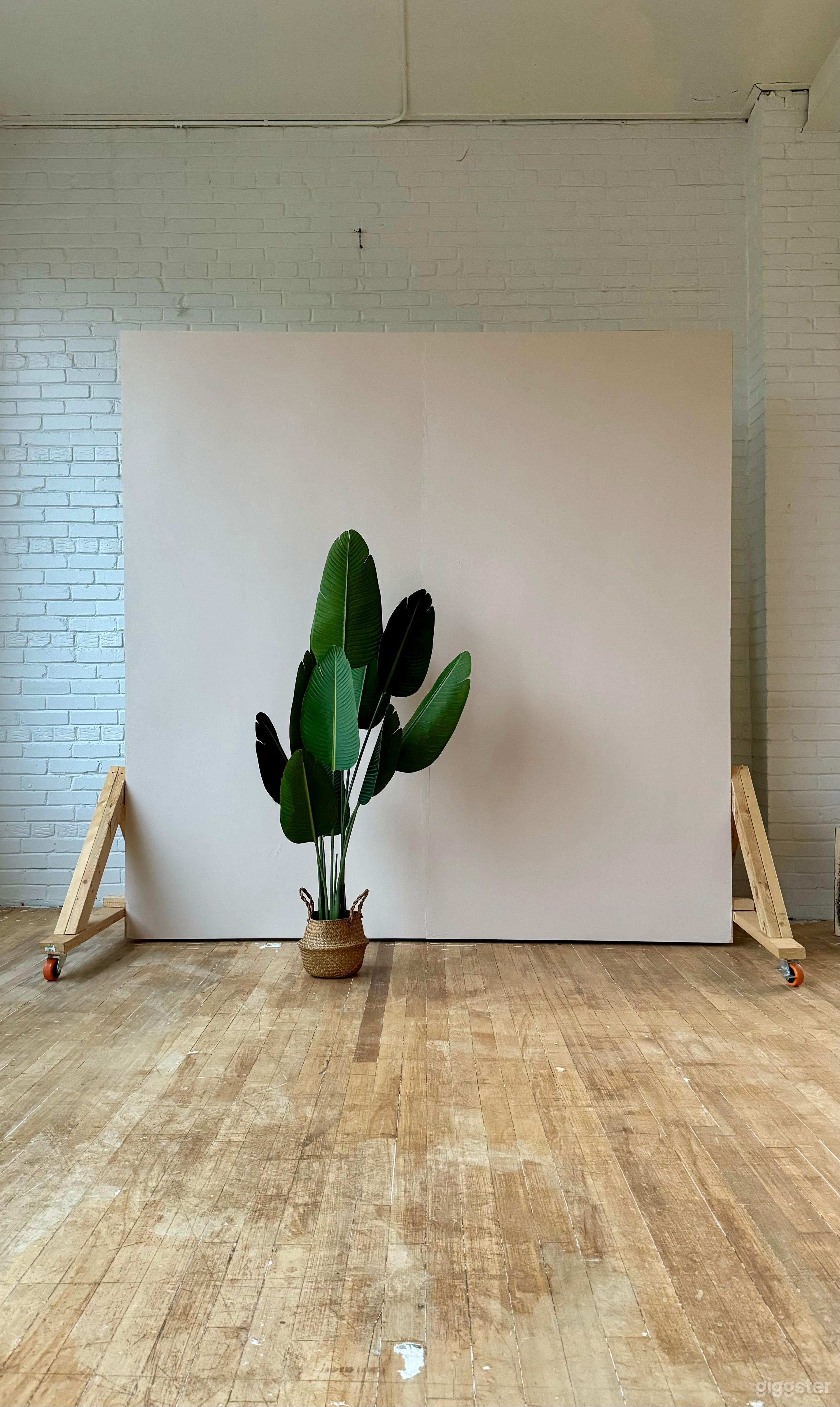 Glorious Natural Light Industrial Photo Studio  Photo 1