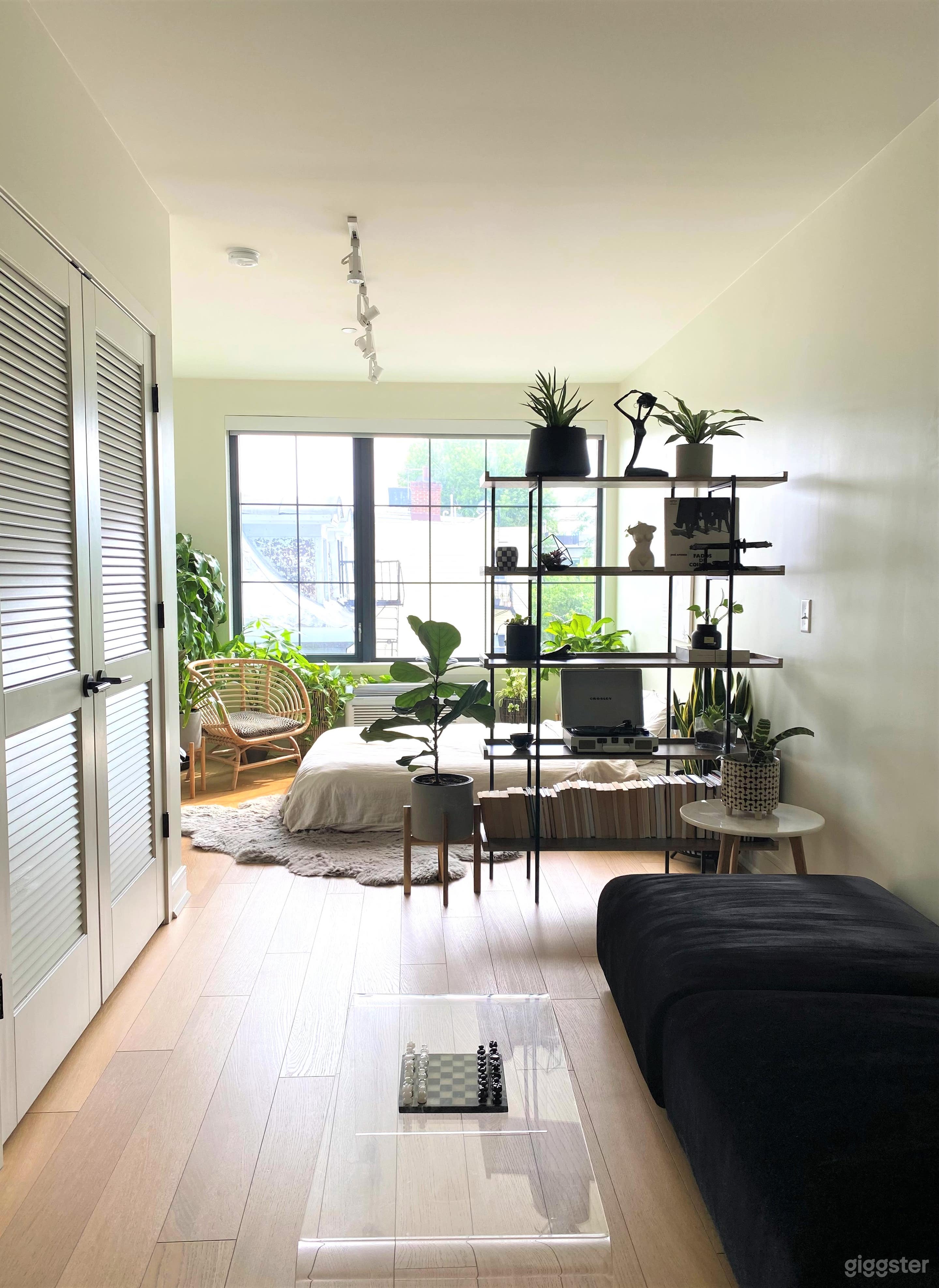 Minimal Contemporary Plant Escape Photo 2