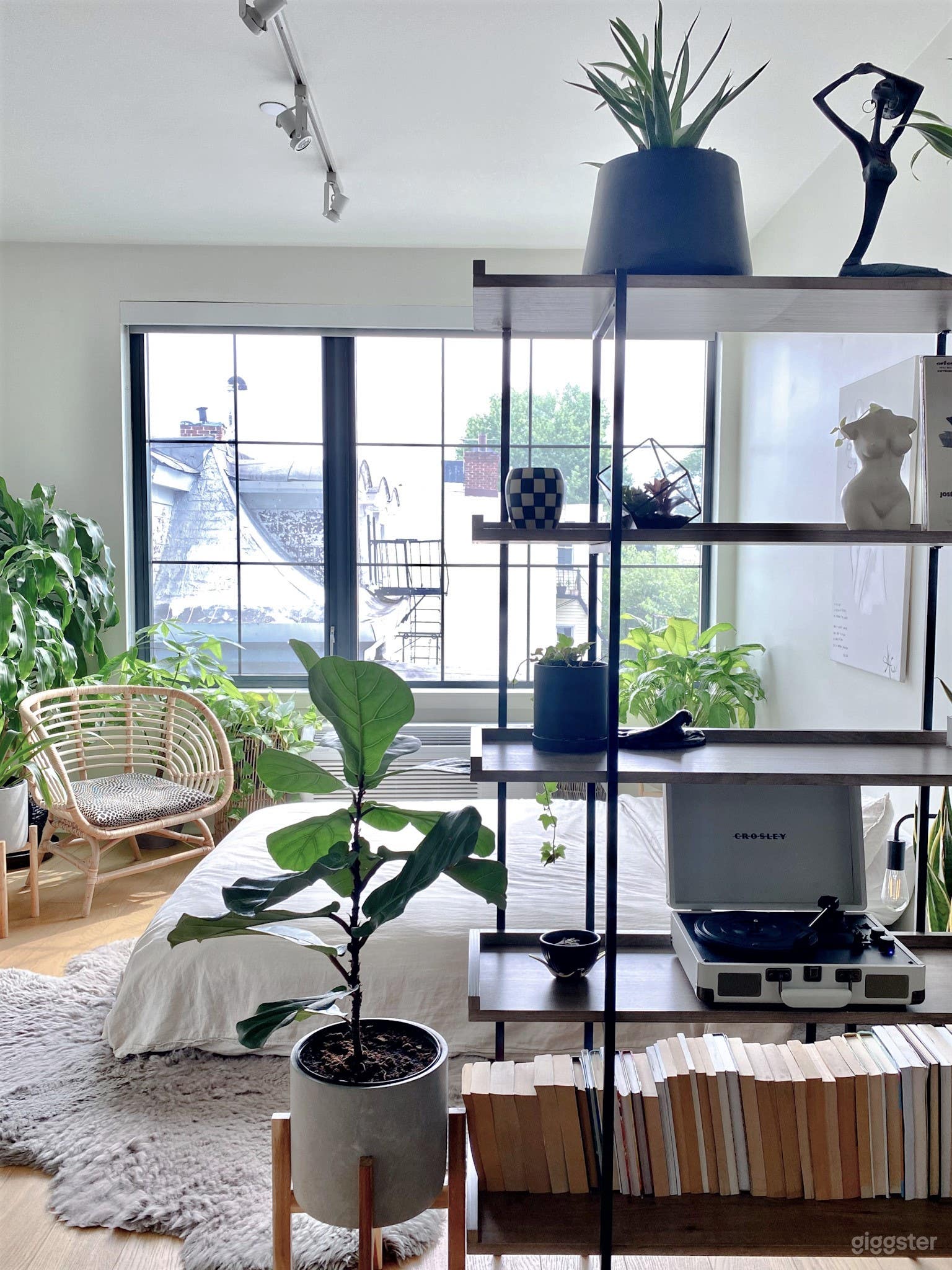 Minimal Contemporary Plant Escape Photo 3