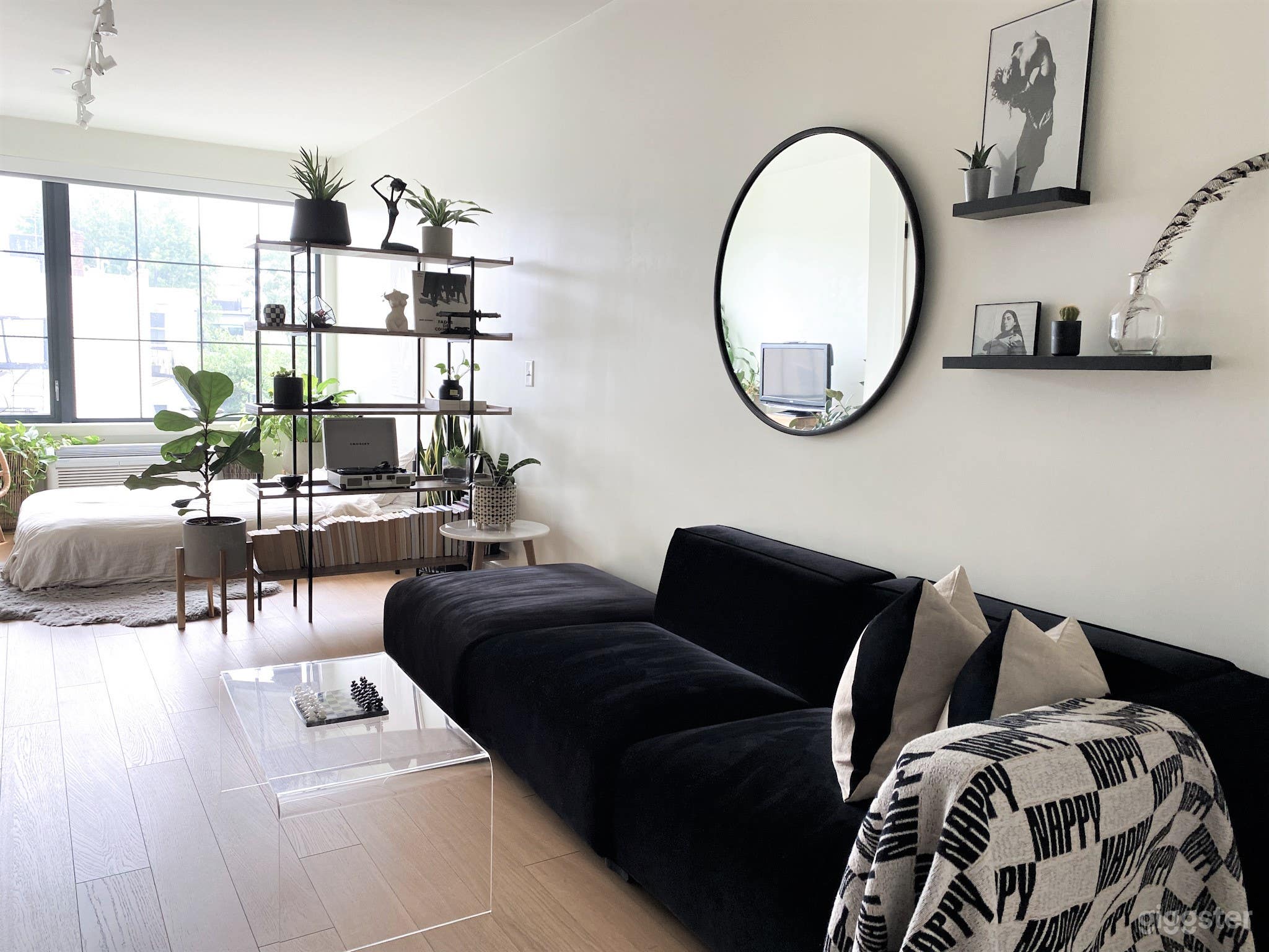 Minimal Contemporary Plant Escape Photo 1