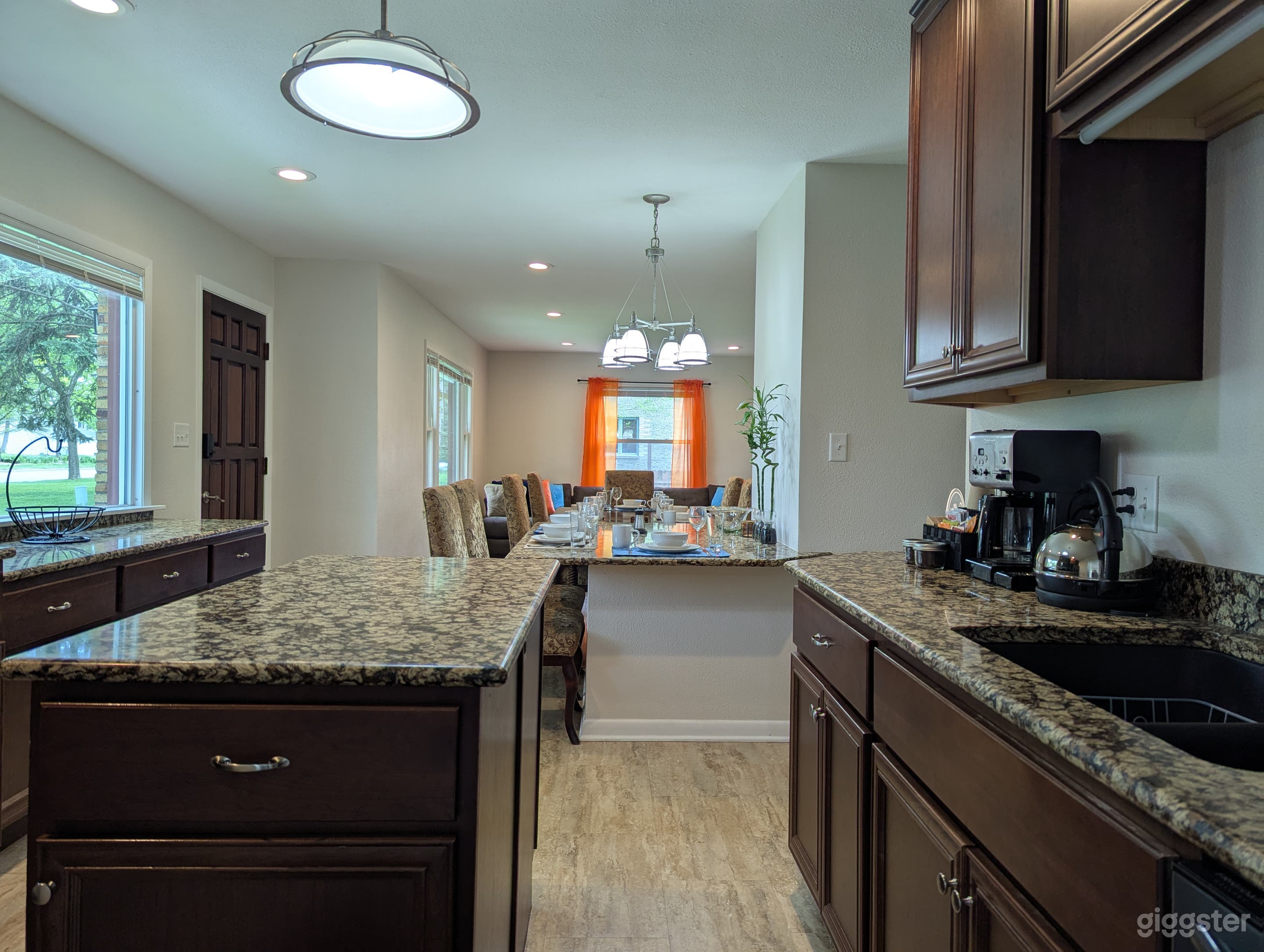 Fenced Garden Open-Concept Home | Film Photo Pet Milwaukee Photo 3