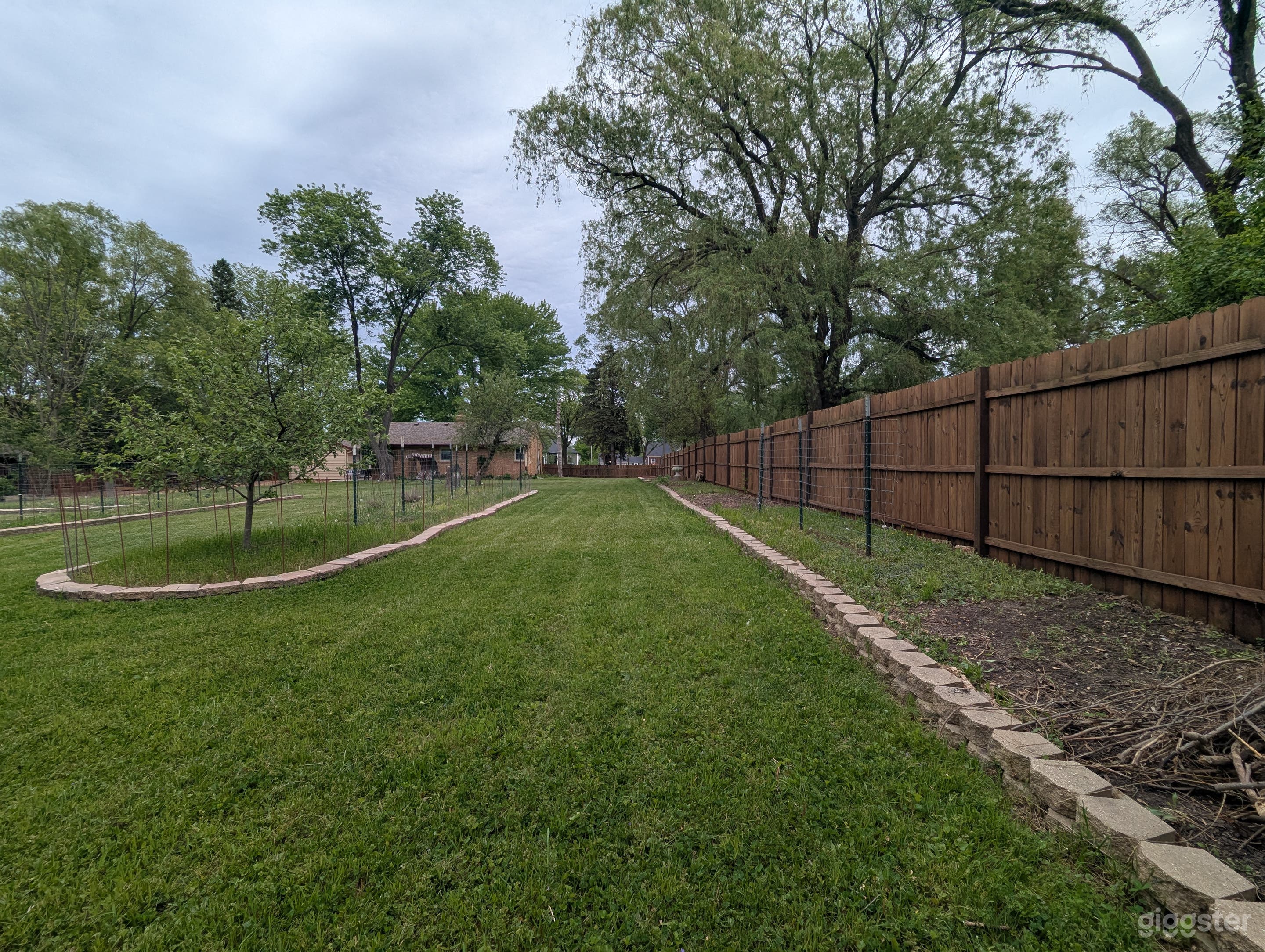 Fenced Garden Open-Concept Home | Film Photo Pet Milwaukee Photo 1