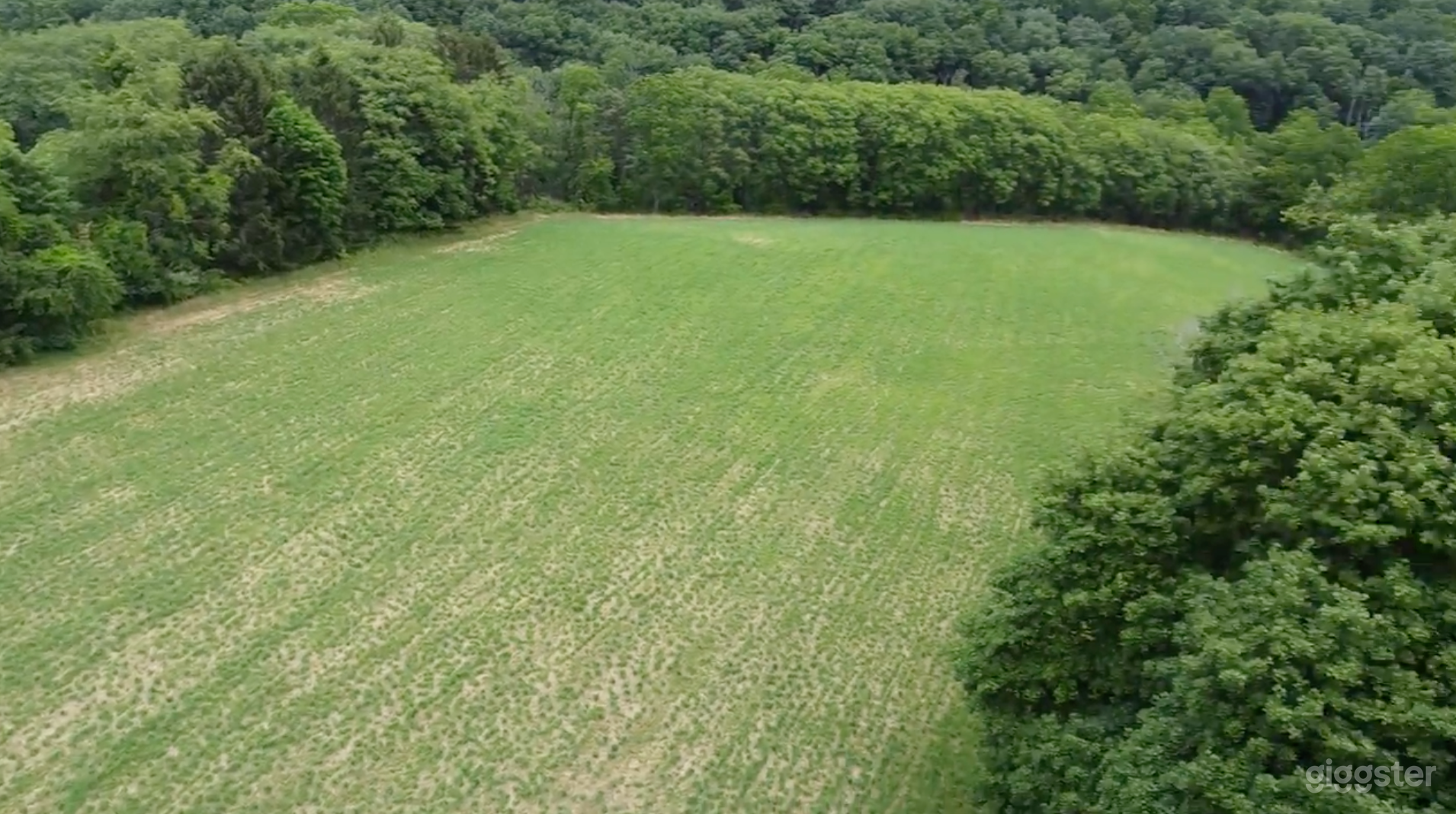 25 Acre Rural Property Photo 3