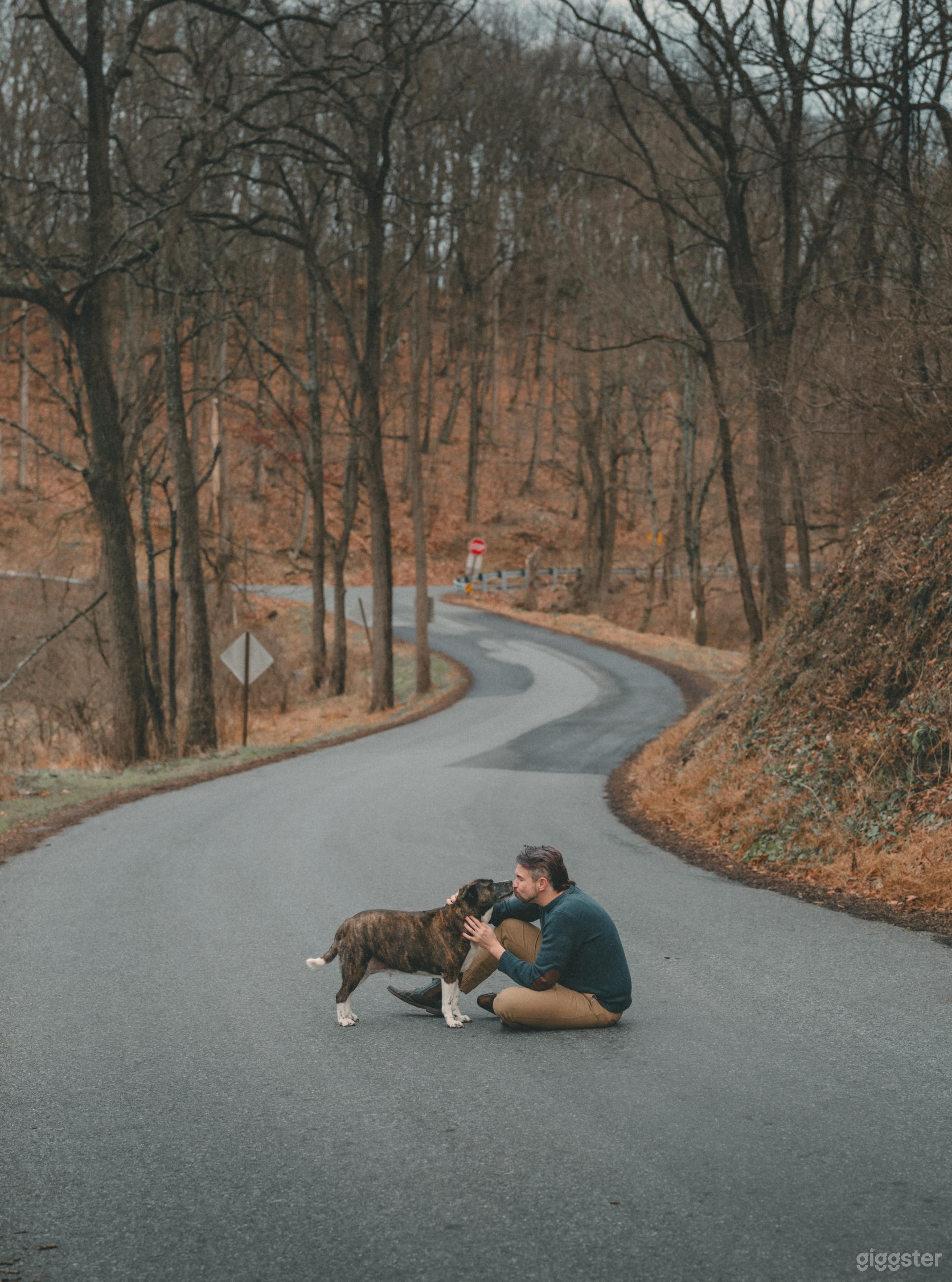 25 Acre Rural Property Photo 4