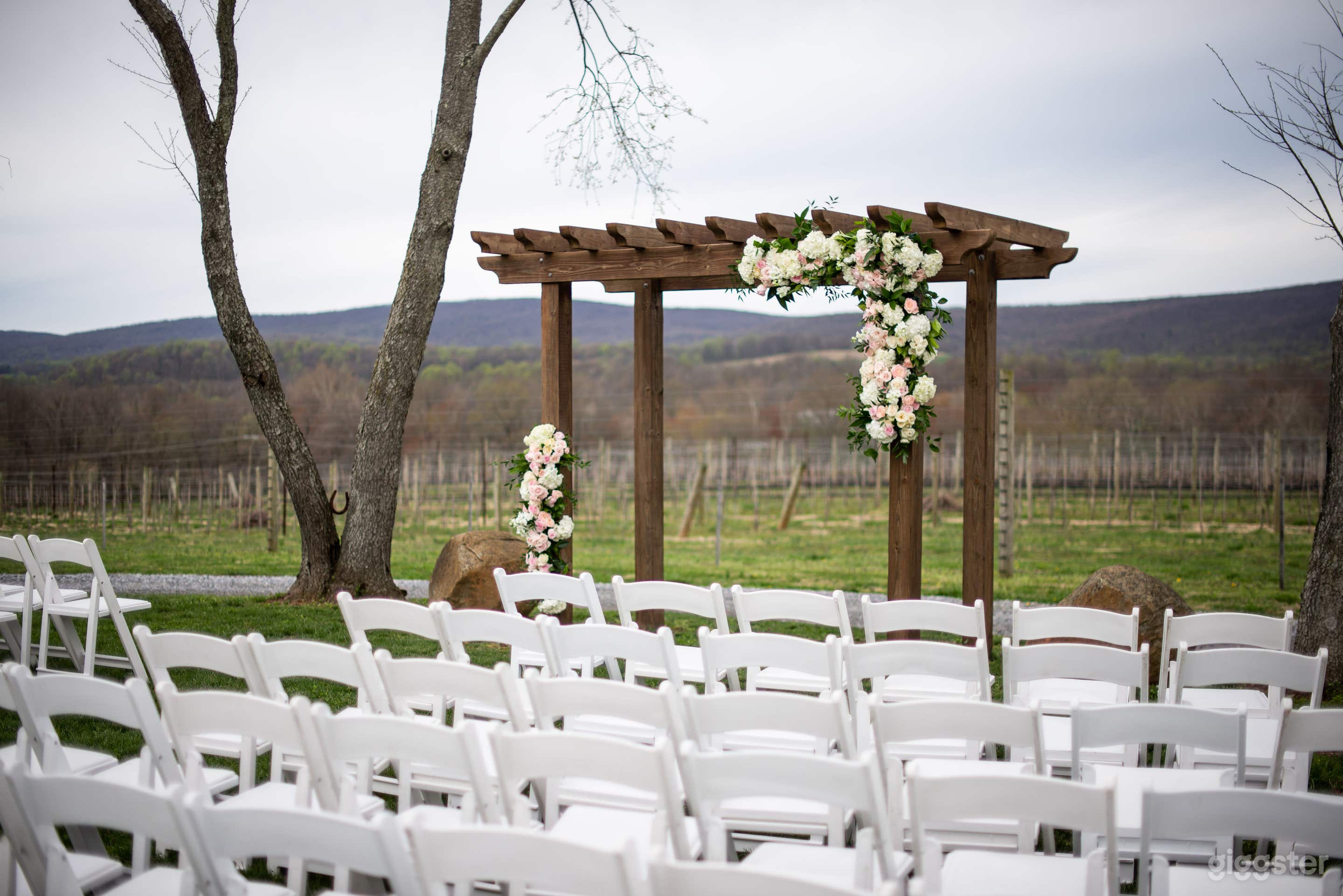 Rustic yet elegant renovated barn on Vineyard  Photo 4