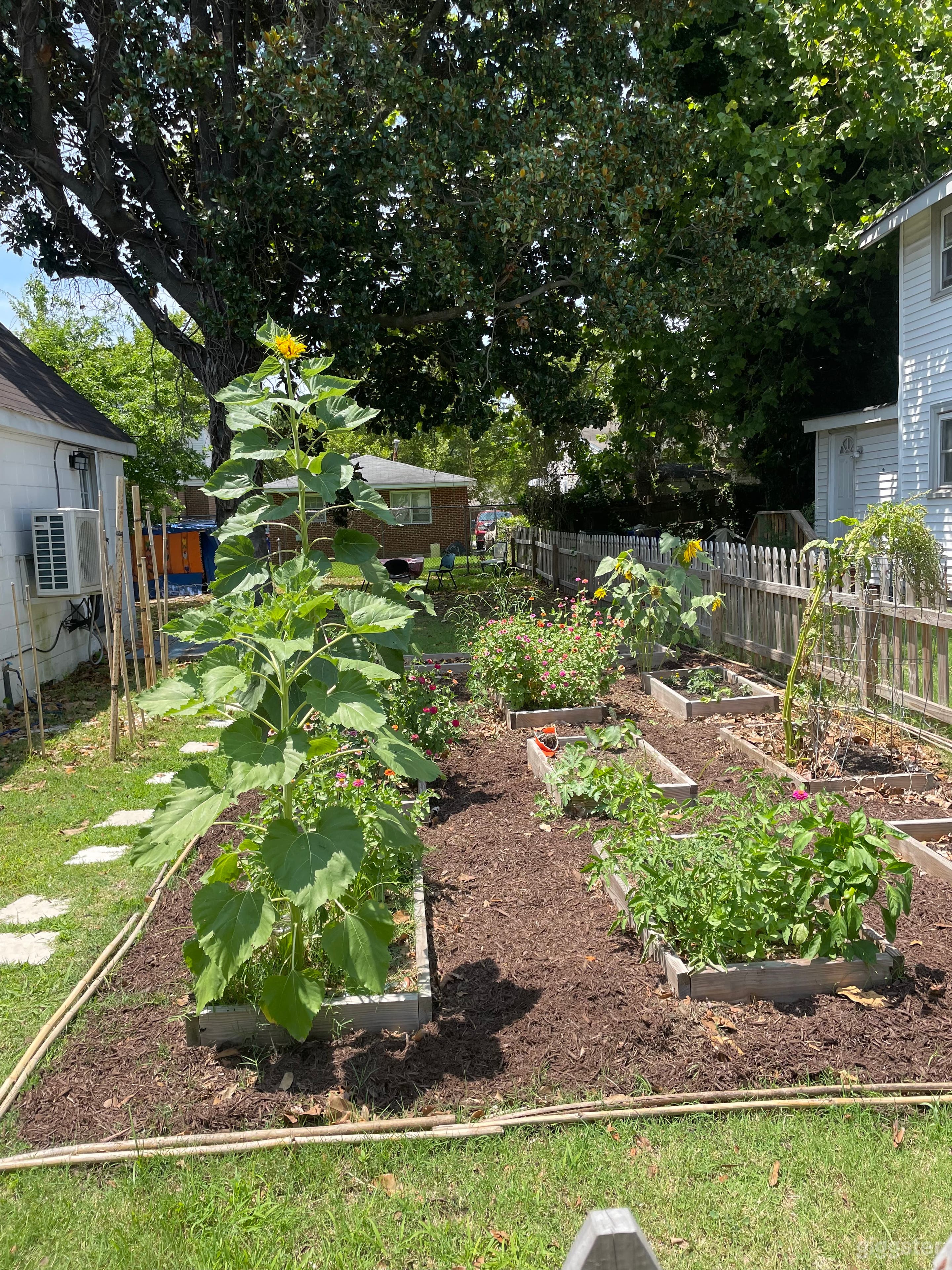 Lovely Cotage with Farm Garden Photo 4