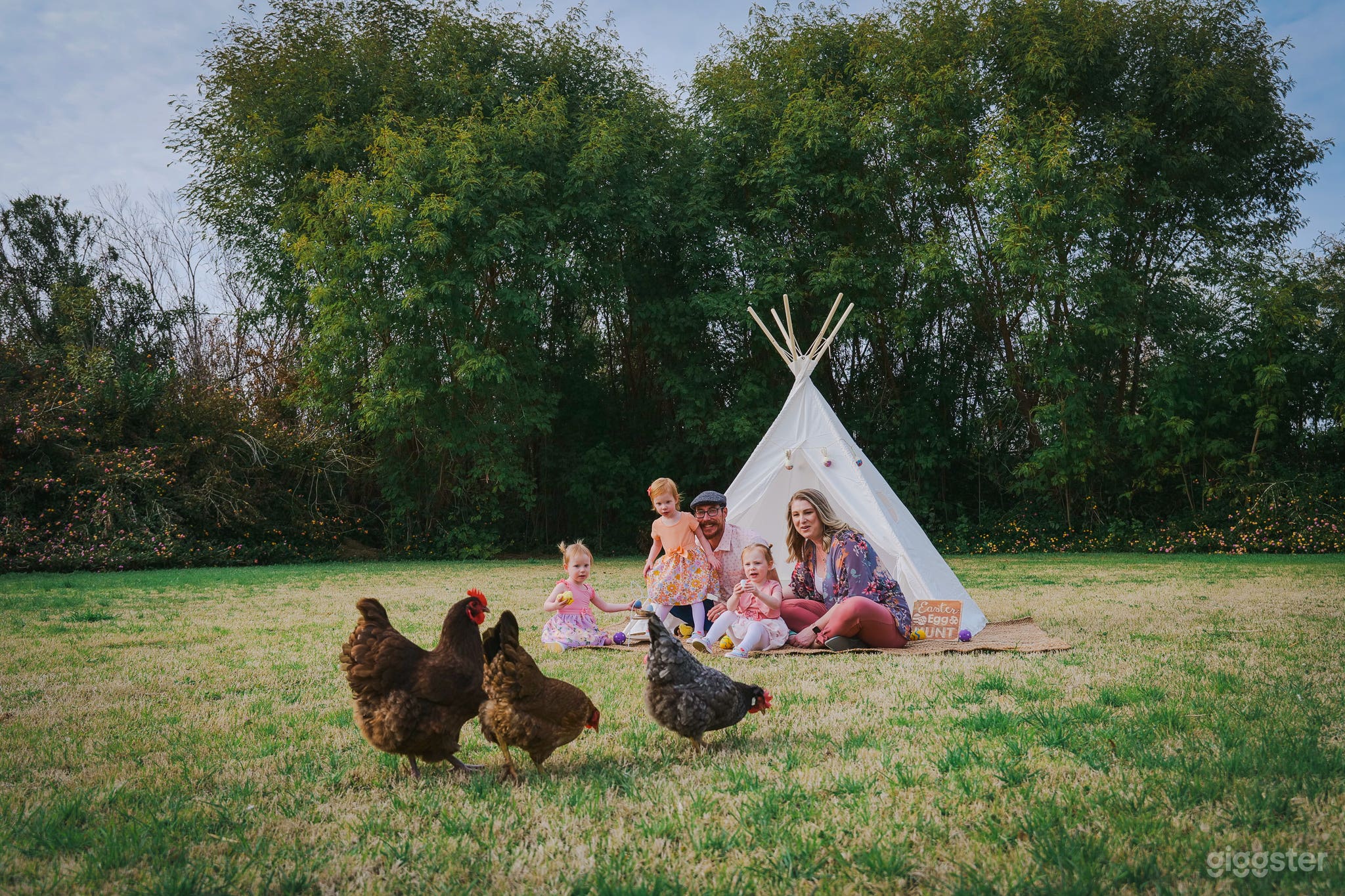 The Meadow at The Wild Villa Photo 1