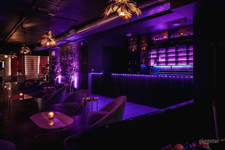  Upscale Private Loft for Content Creation 