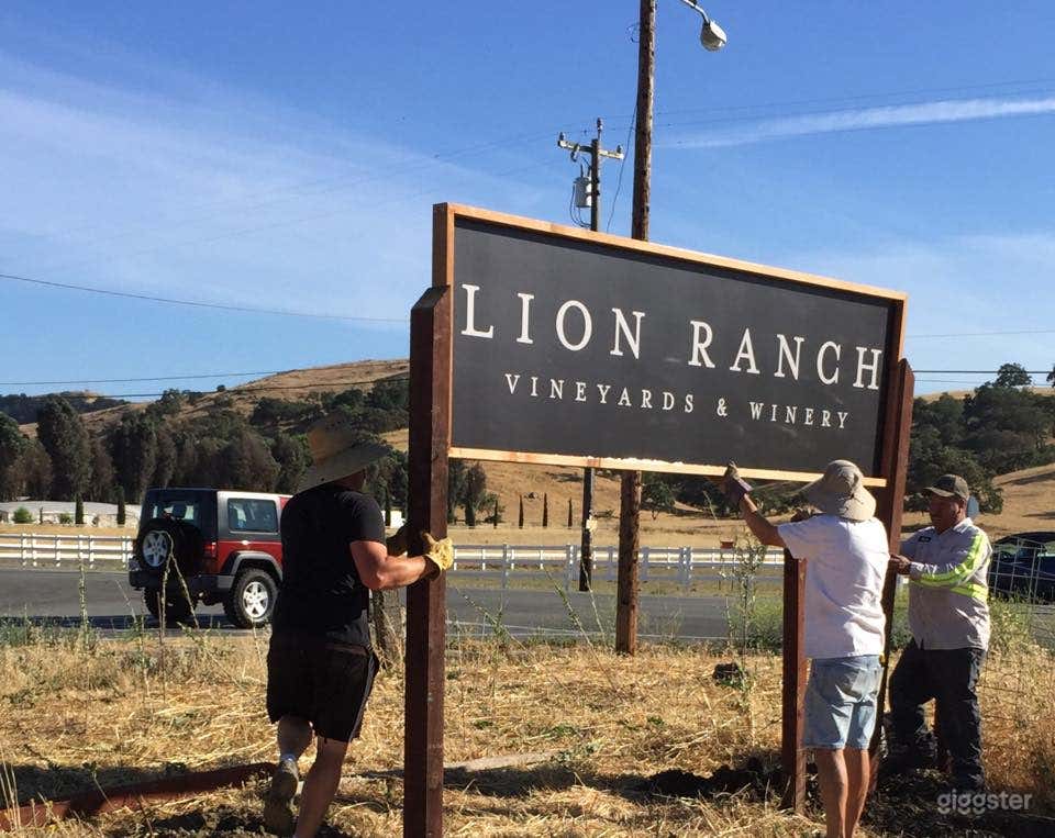 One of a kind Vineyard and Winery in San Martin Photo 3