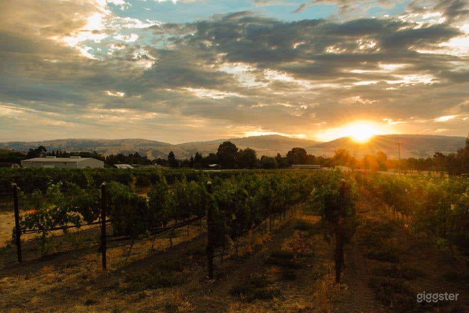 One of a kind Vineyard and Winery in San Martin Photo 2