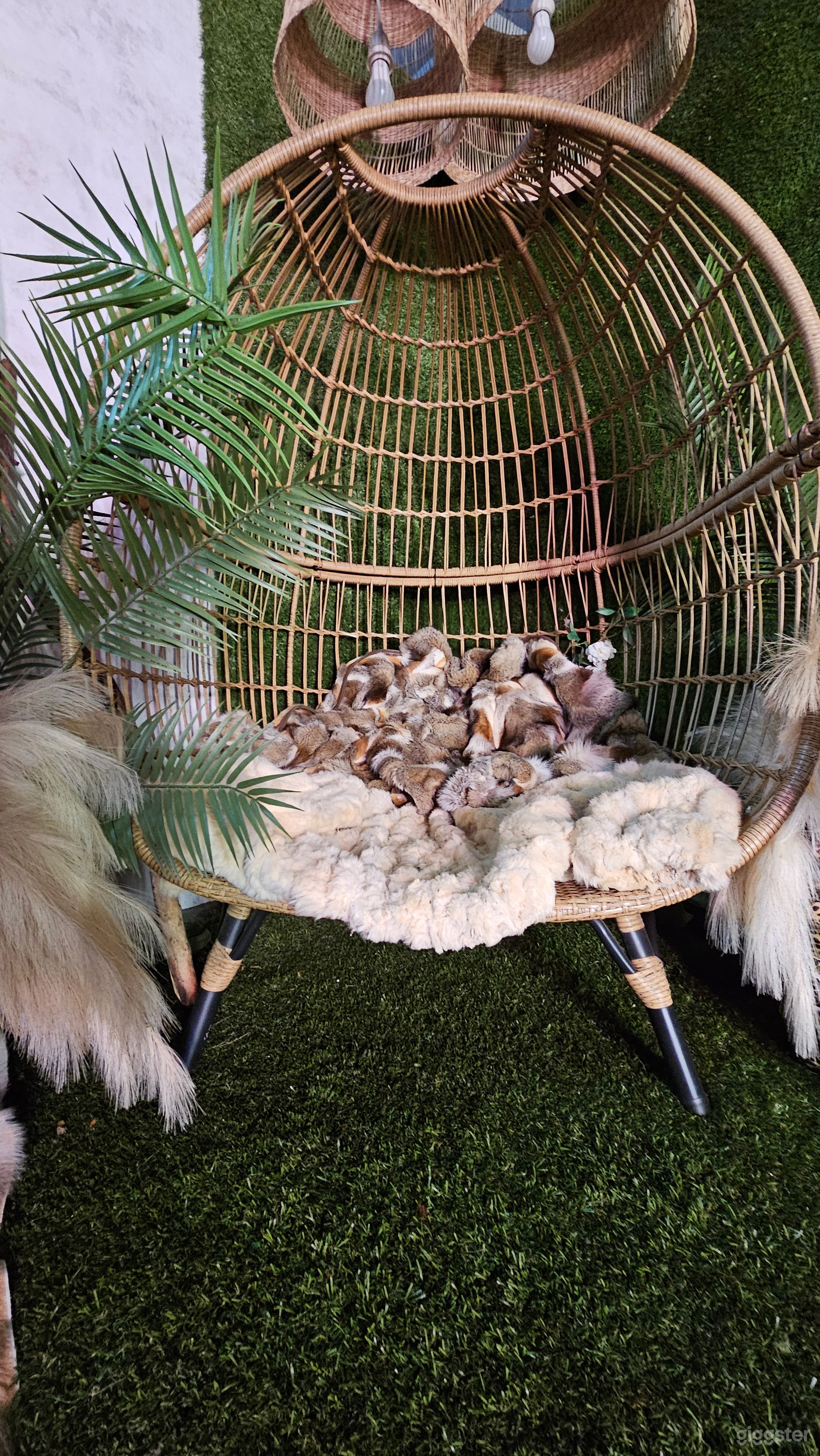 Primal Wicker Chair Photo 2