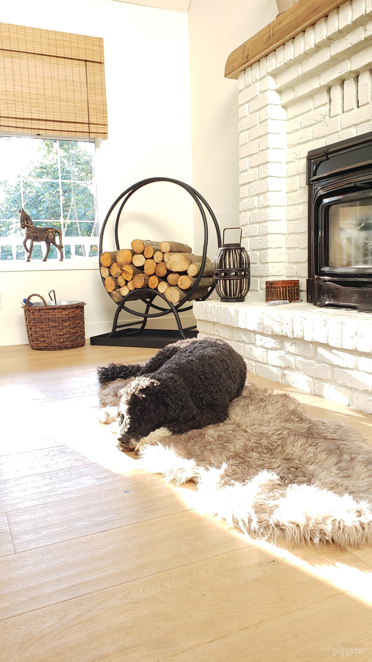 Cape Cod Farm House Photo 1