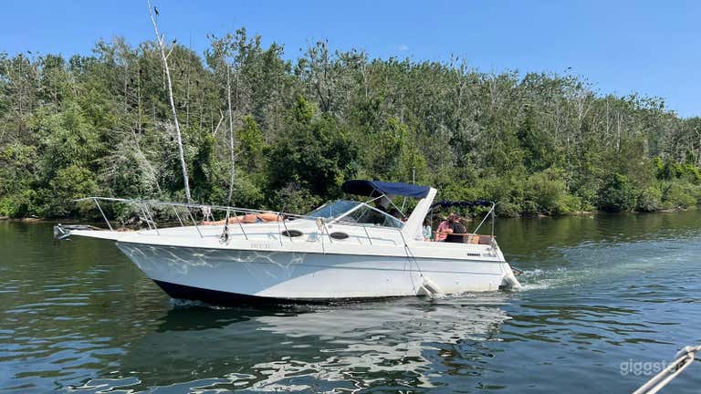  Listo para Festejar en el Elegante Barco Motor MTX de 34 pies 