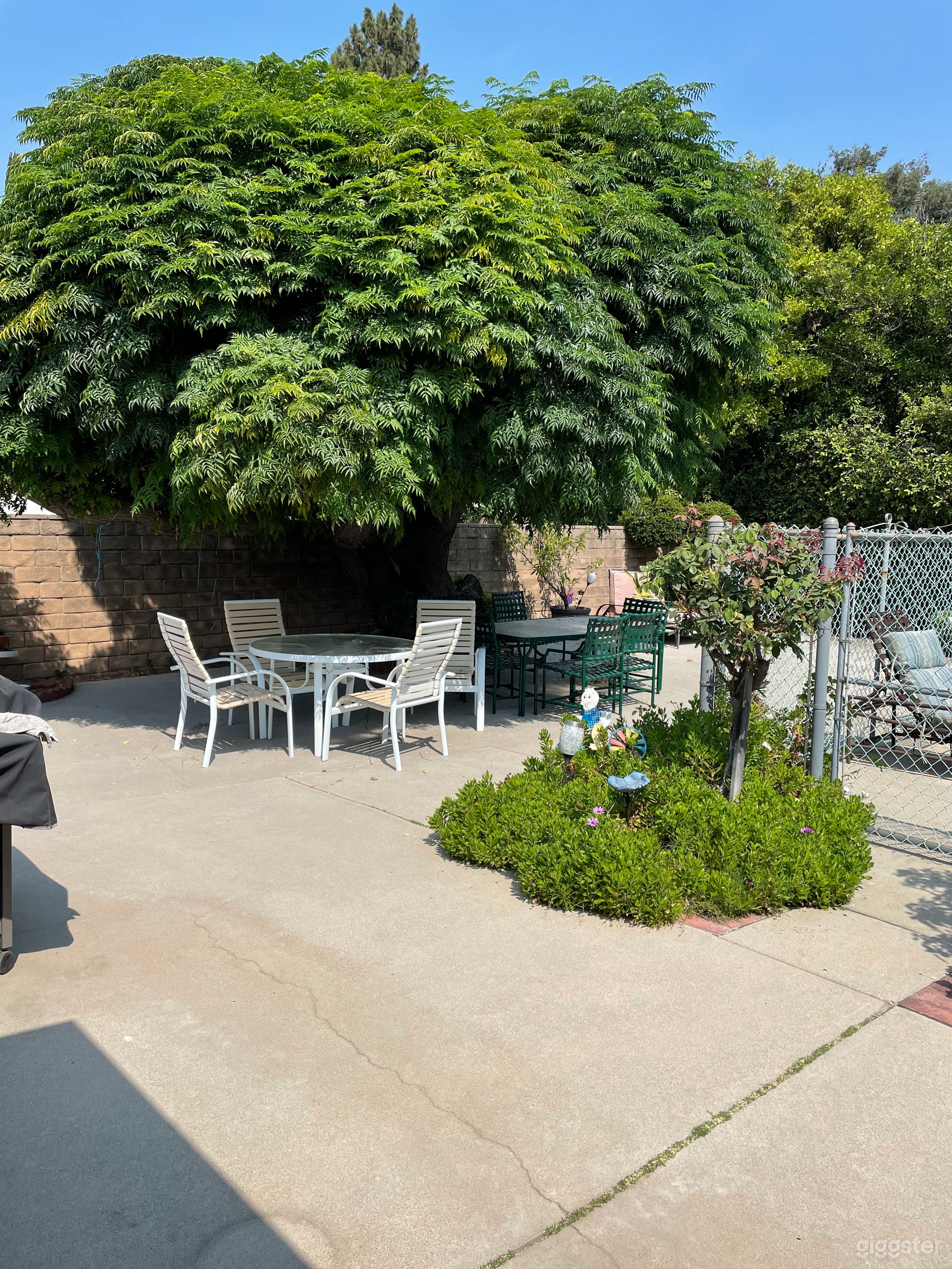 Suburban 1955 ranch style delight.  Photo 2