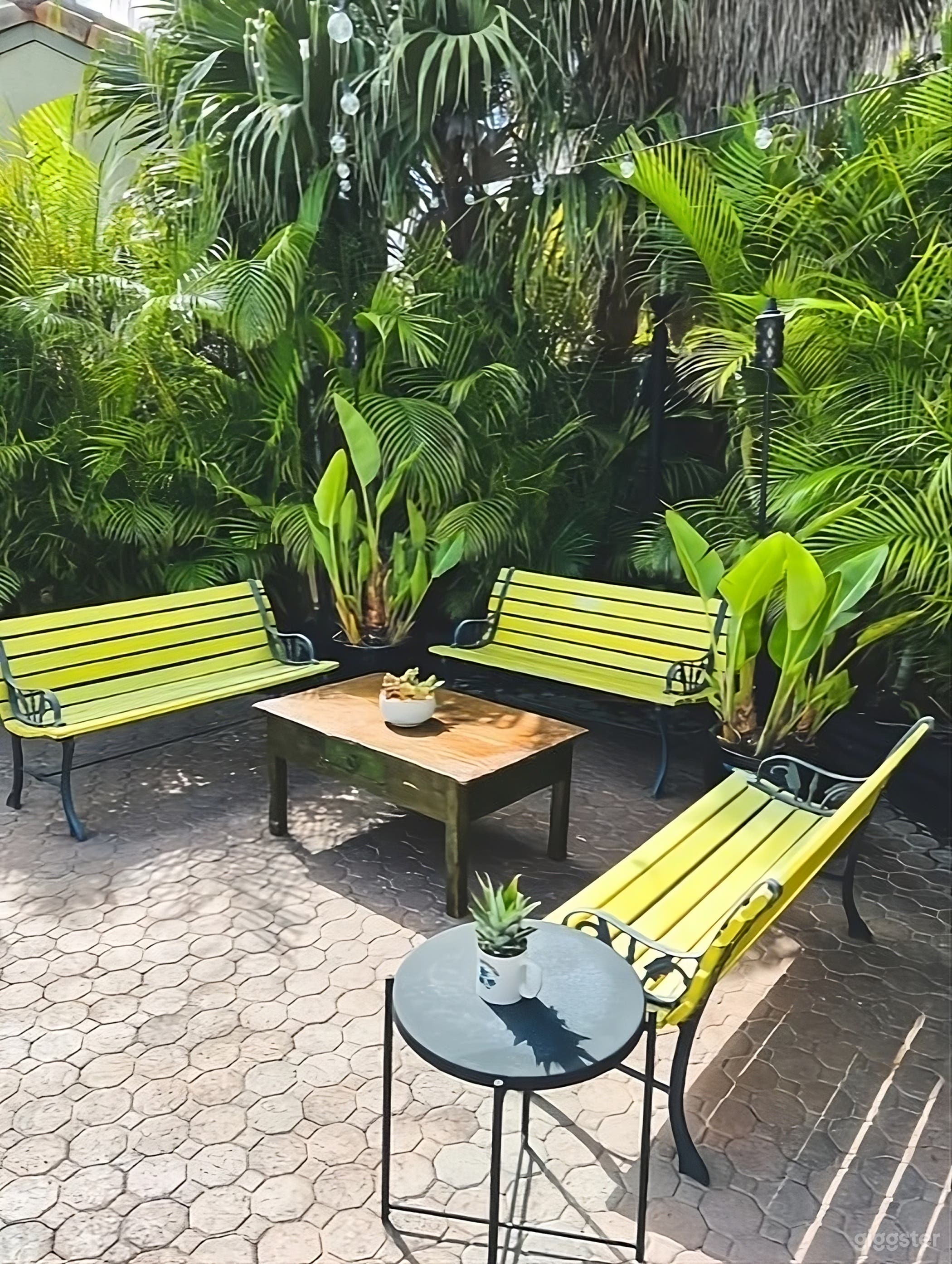 Tranquil Backyard Escape Photo 3