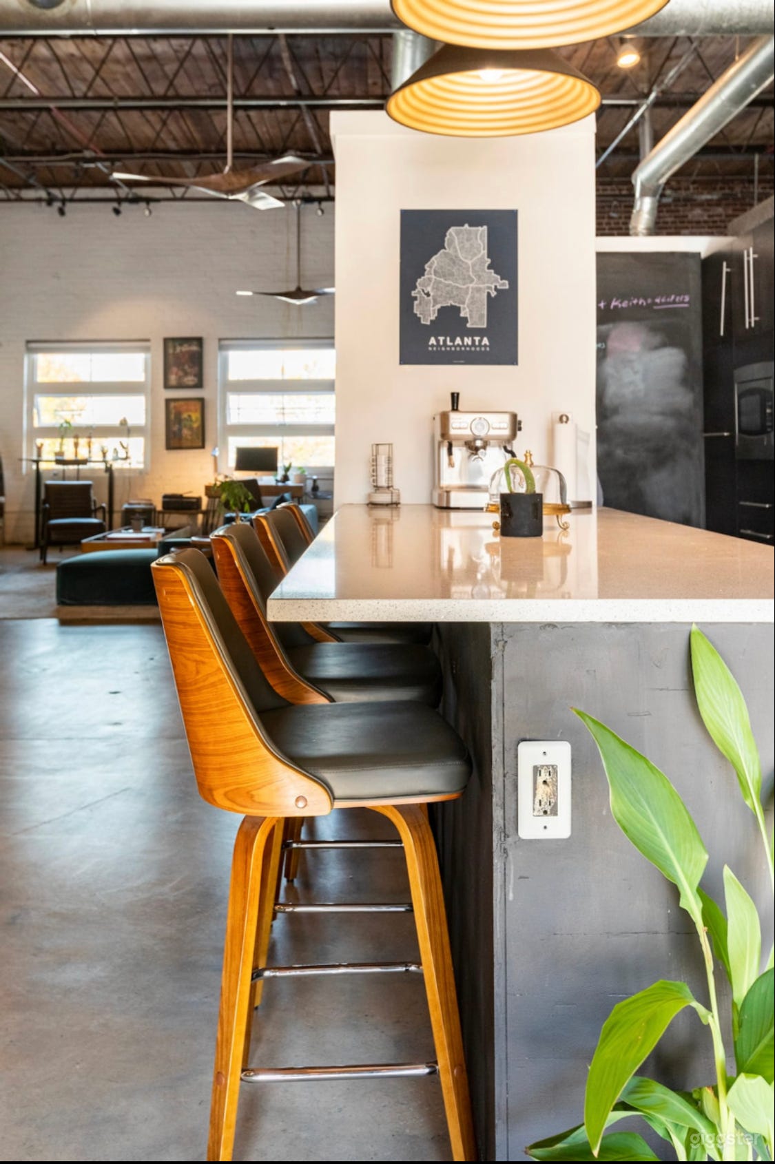 Penthouse loft downtown with 1850 sq ft rooftop Photo 3