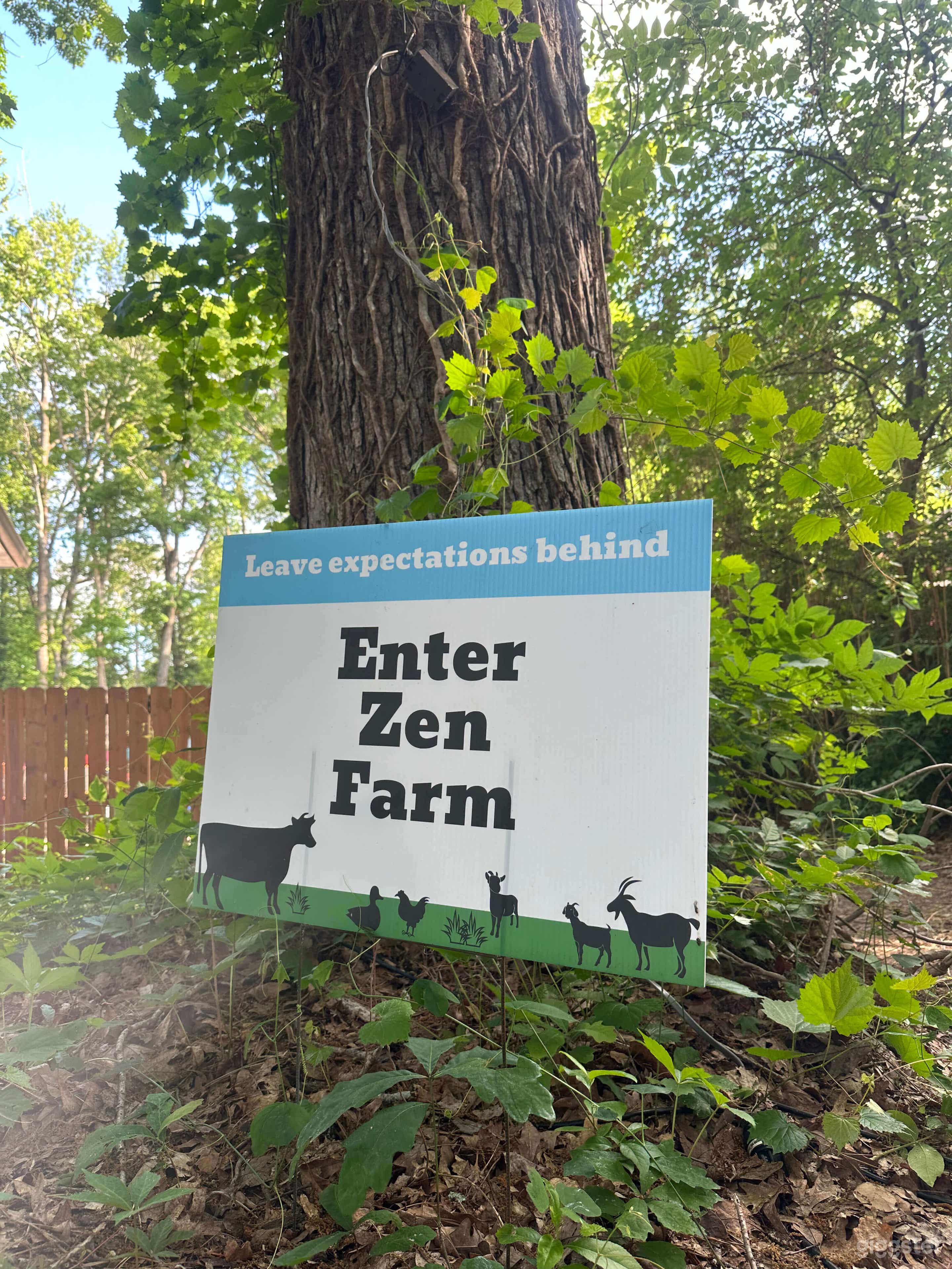 Goat, Cow &amp; Chicken Farm w/ Treehouse &amp; Zen Garden Photo 3