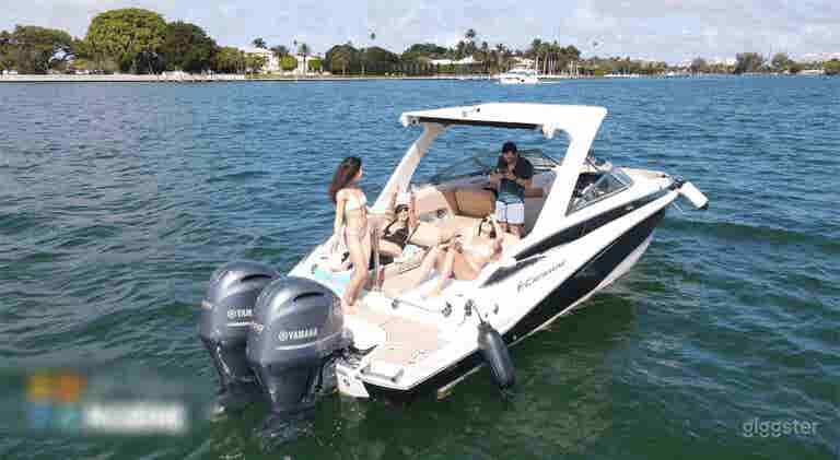  CROWNLINE E 305XS Boat 