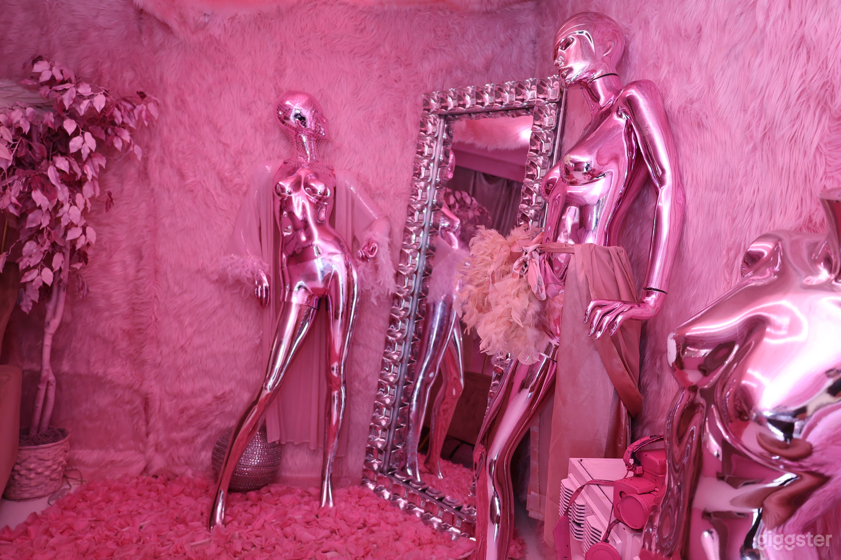 Pink Passion Set Photo 3