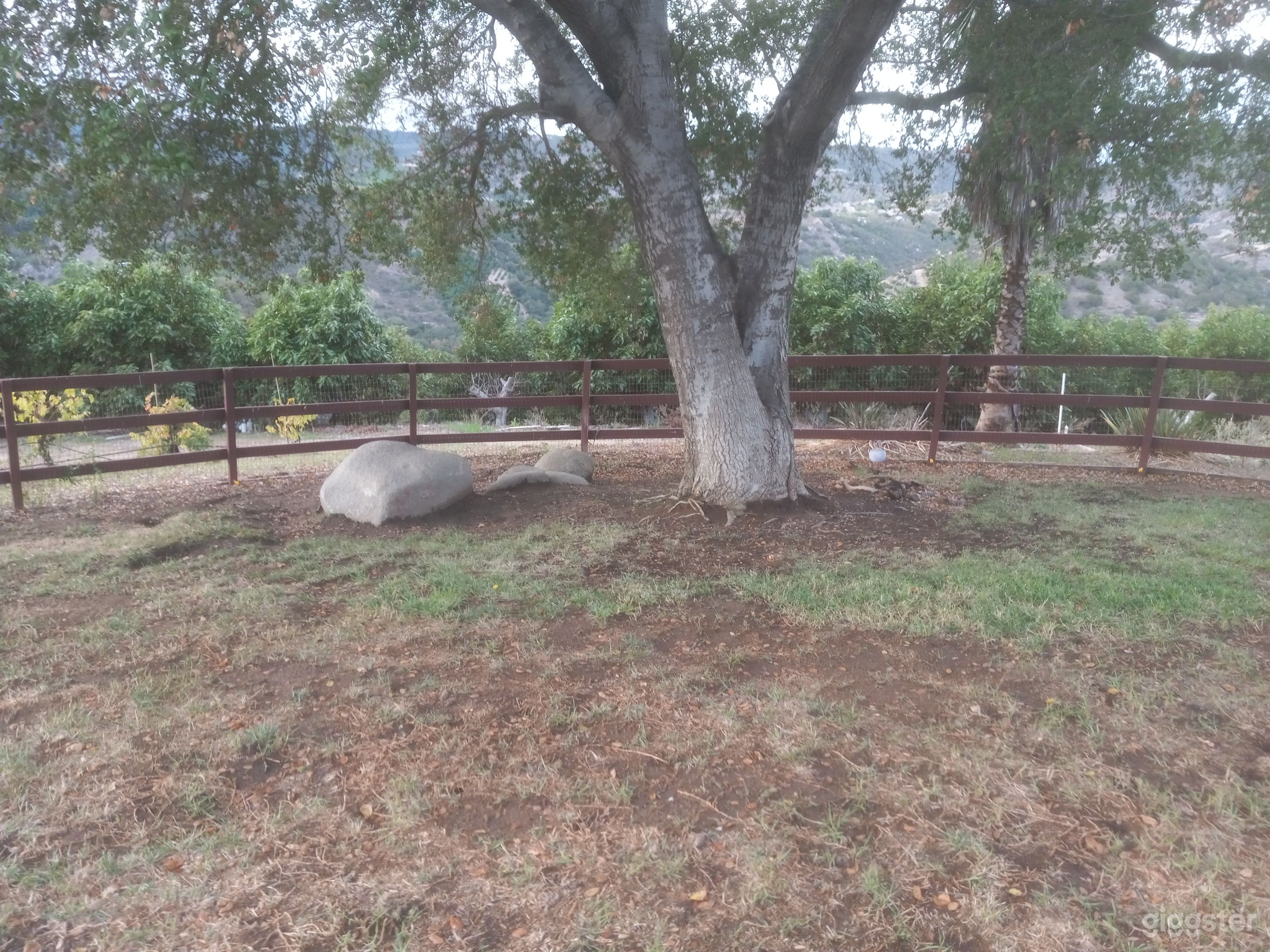 Luxury Ranch Backyard Retreat Photo 2