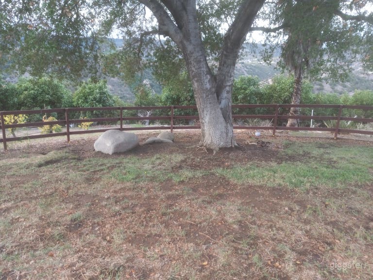  Luxury Ranch Backyard Retreat 