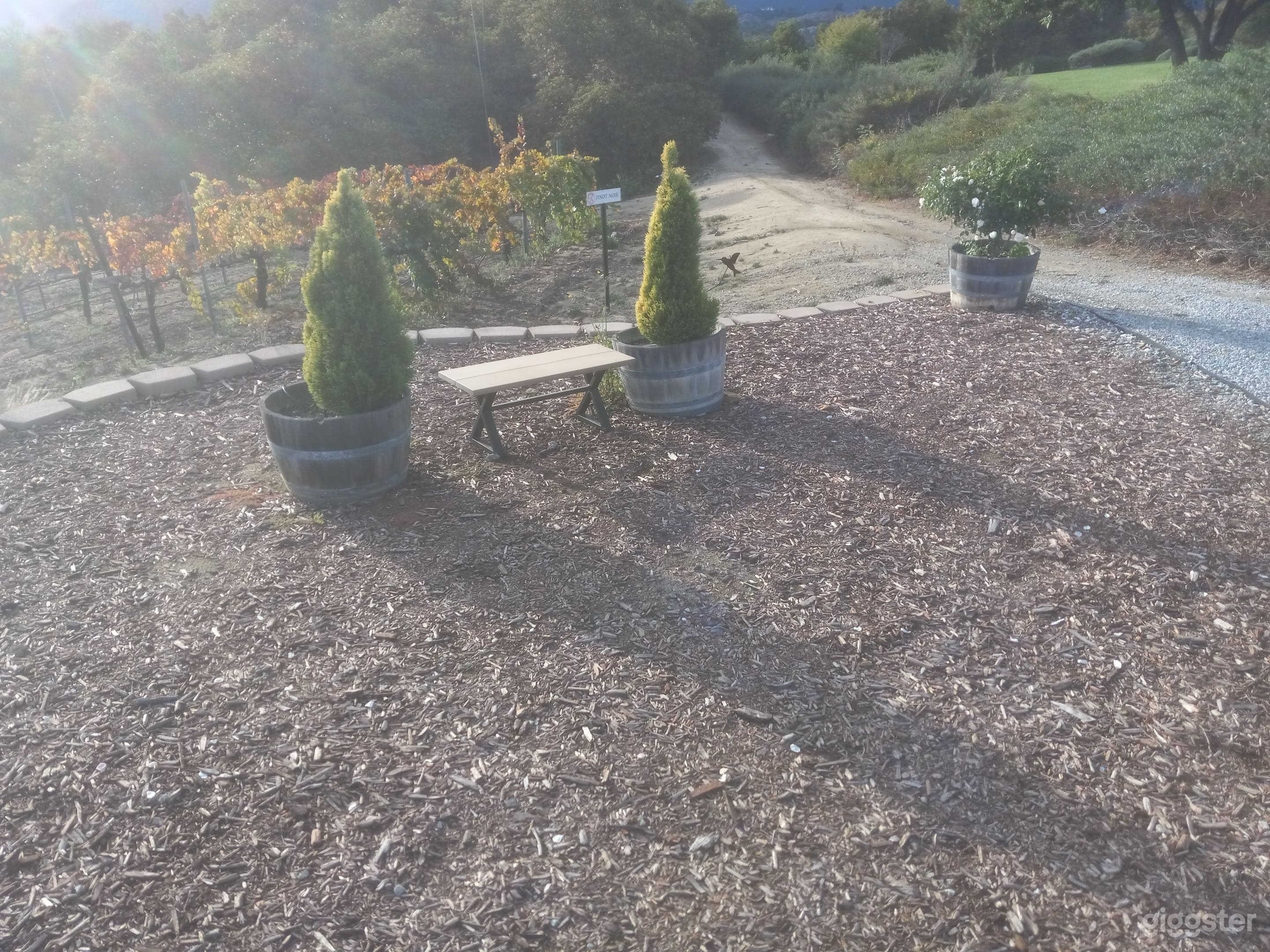 Luxury Ranch Backyard Retreat Photo 4