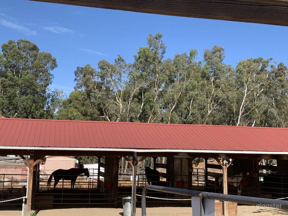 Traditional Red Roof Barn Photo 2