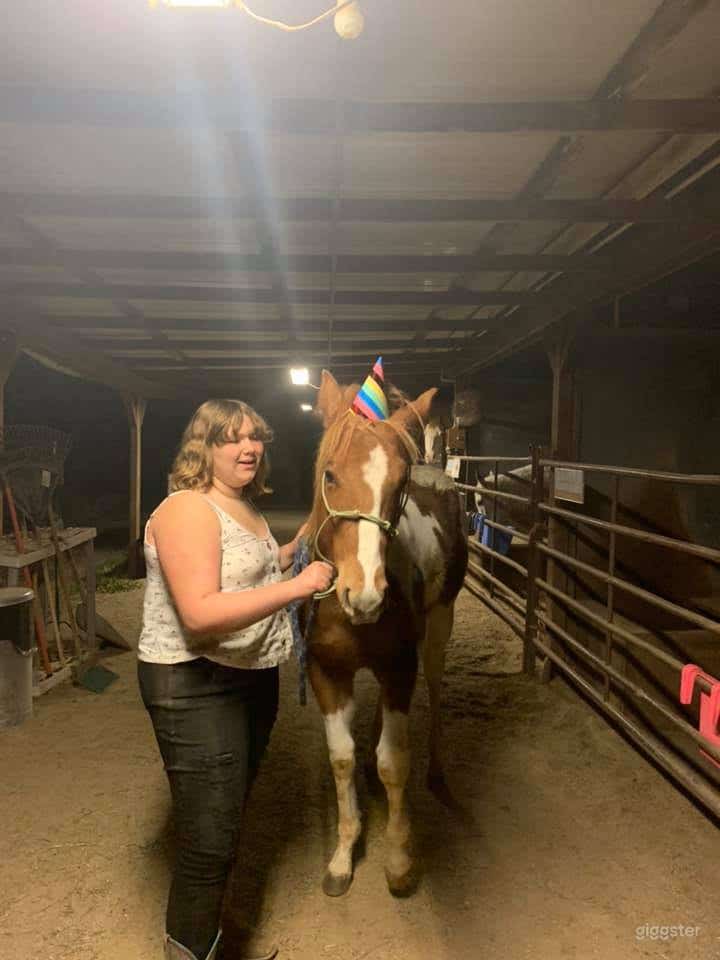 Traditional Red Roof Barn Photo 4