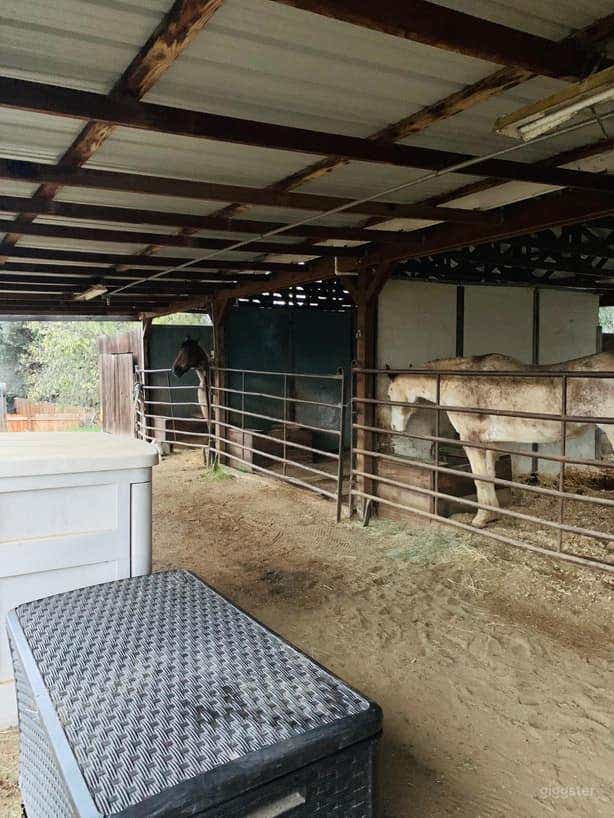 Traditional Red Roof Barn Photo 3