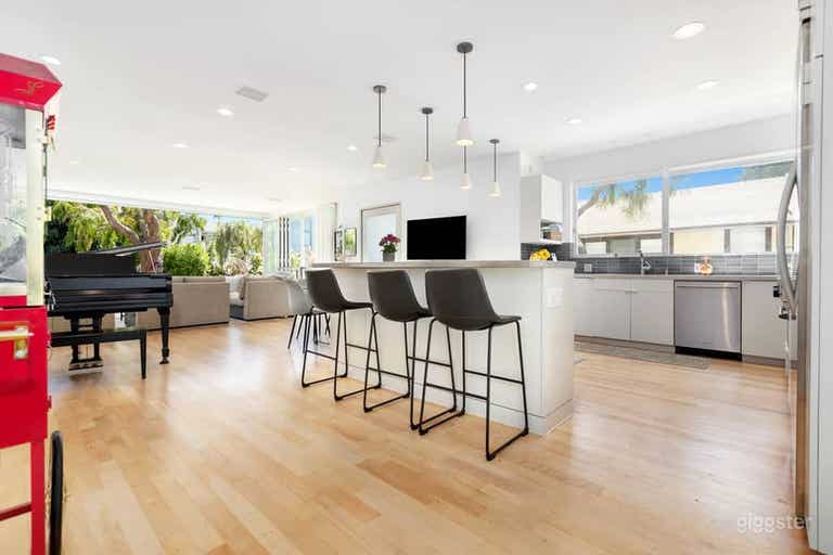  *NEW* Venice Canal Modern Waterfront House 