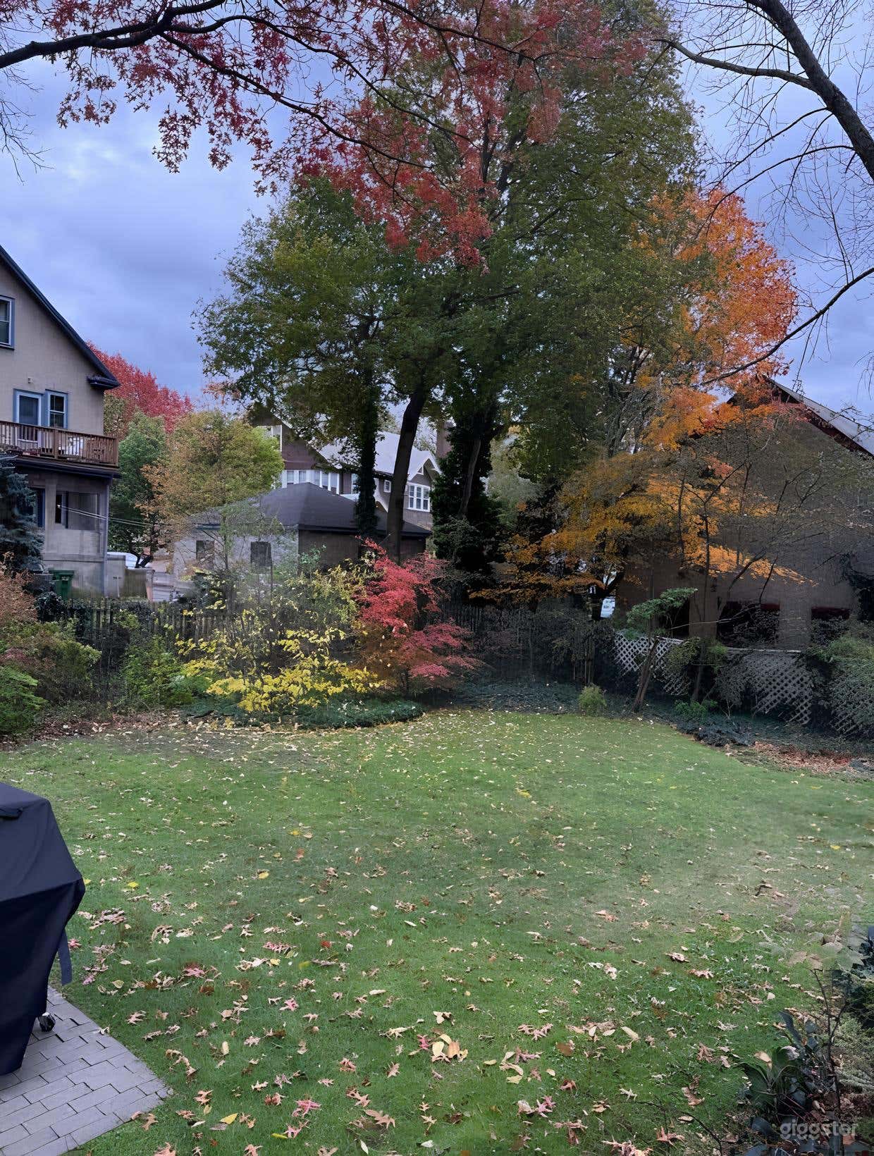 Well-Kept Grassy Backyard Photo 2