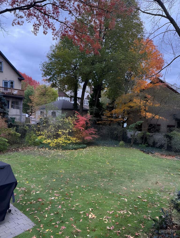  Well-Kept Grassy Backyard 