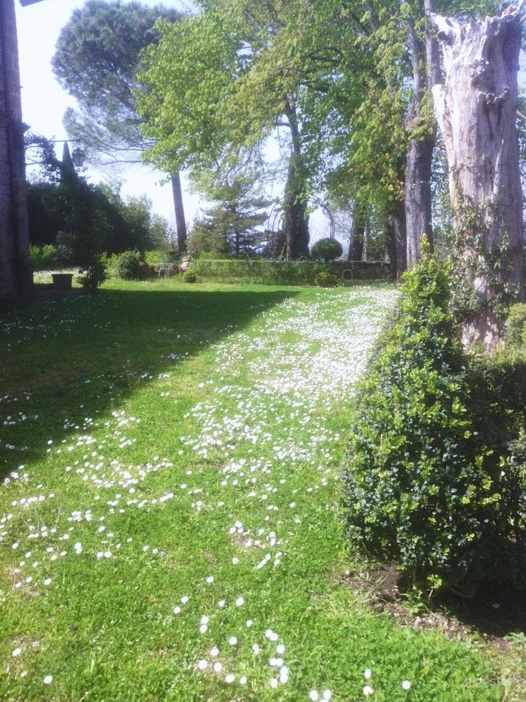 Foto di Antica Dimora parco Piscina nella Esoterica Antica Bomarzo 4