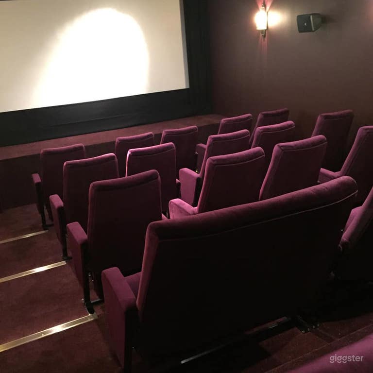  Opulent Cinema in London 