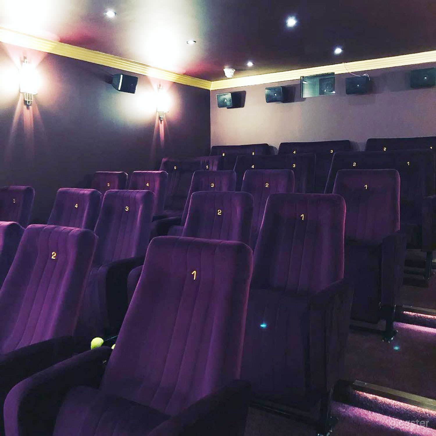 Opulent Cinema in London Photo 4