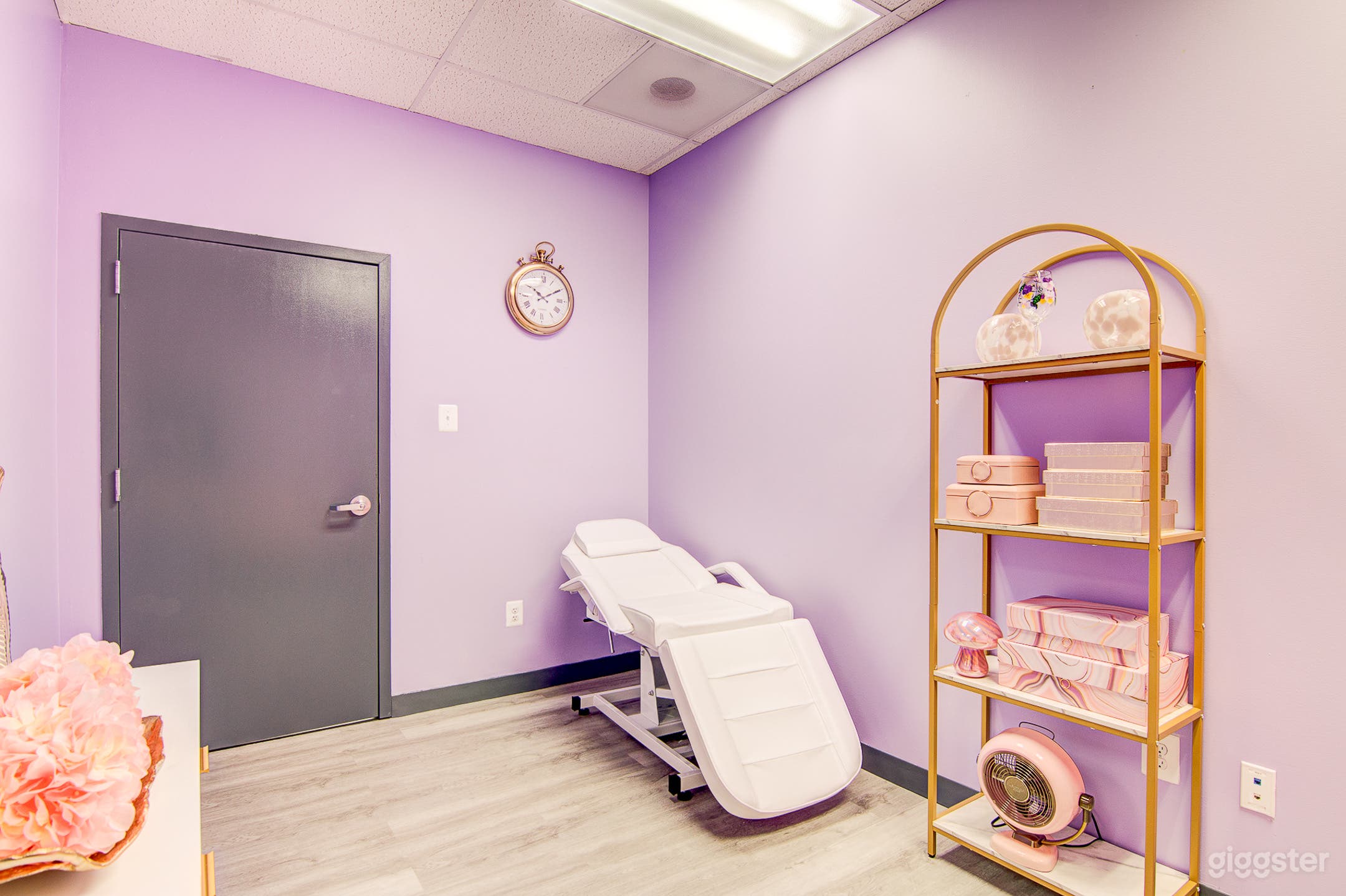 Flex Beauty Suite (Laurel 1) Photo 2