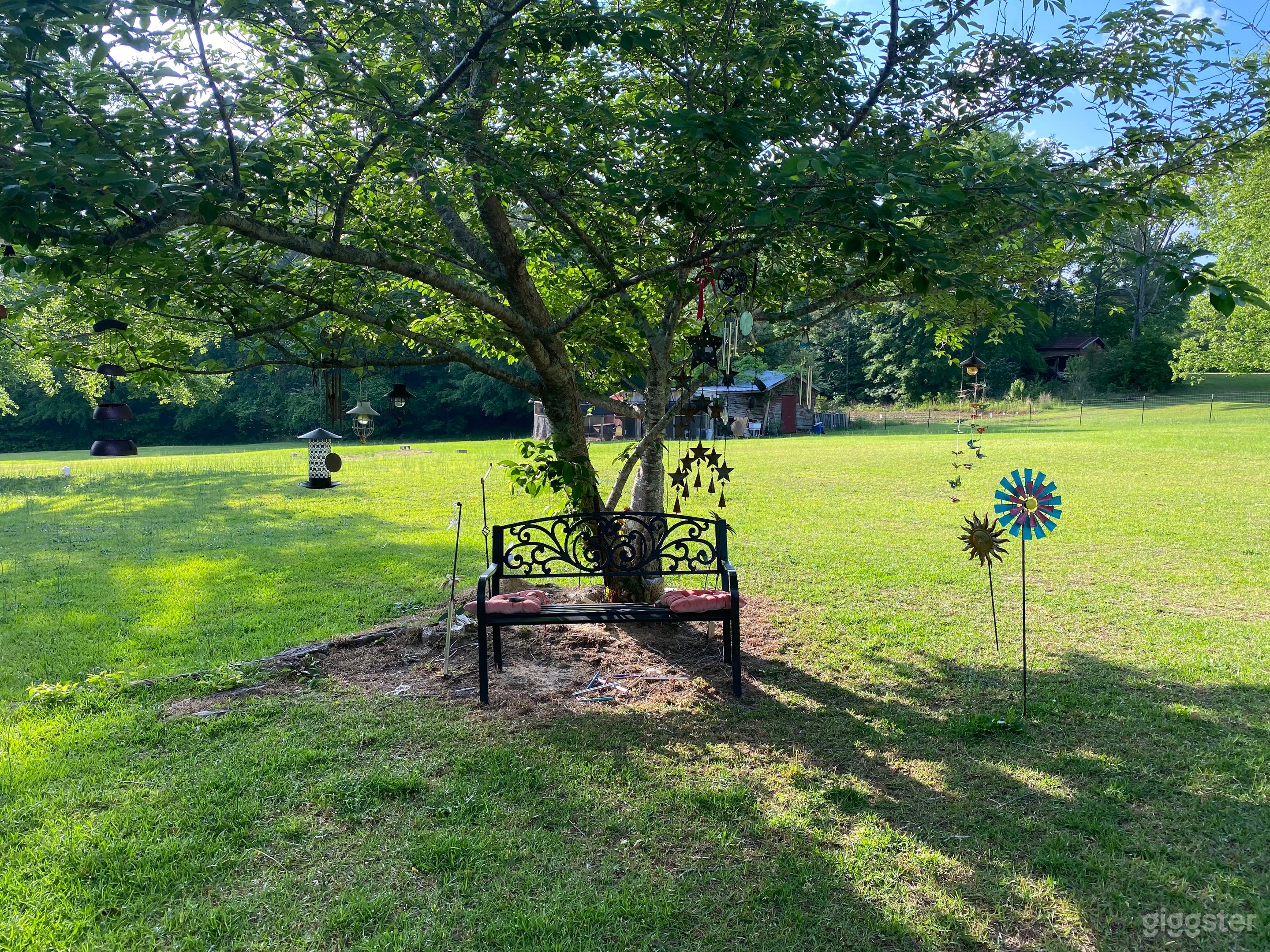 Country Farm House with Private Lake &amp; Forest in Atlanta Photo 4