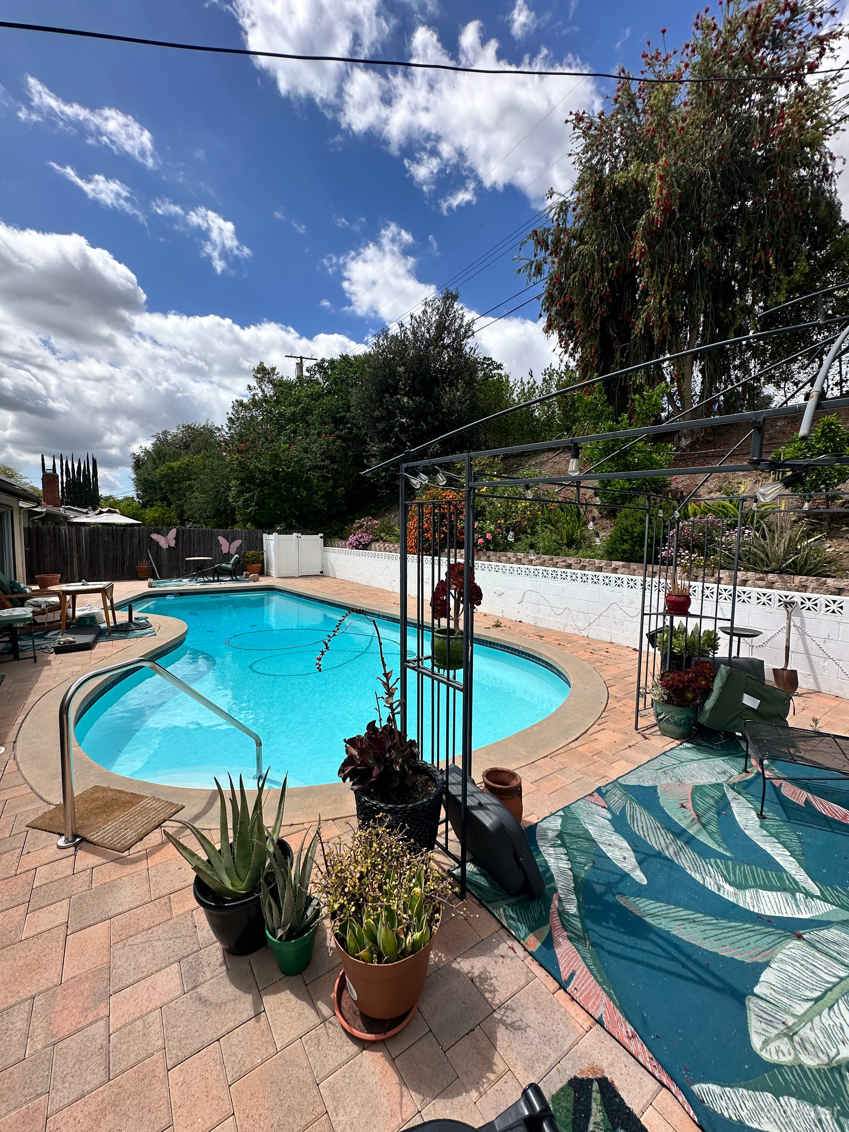 Valley Oasis Photo 3