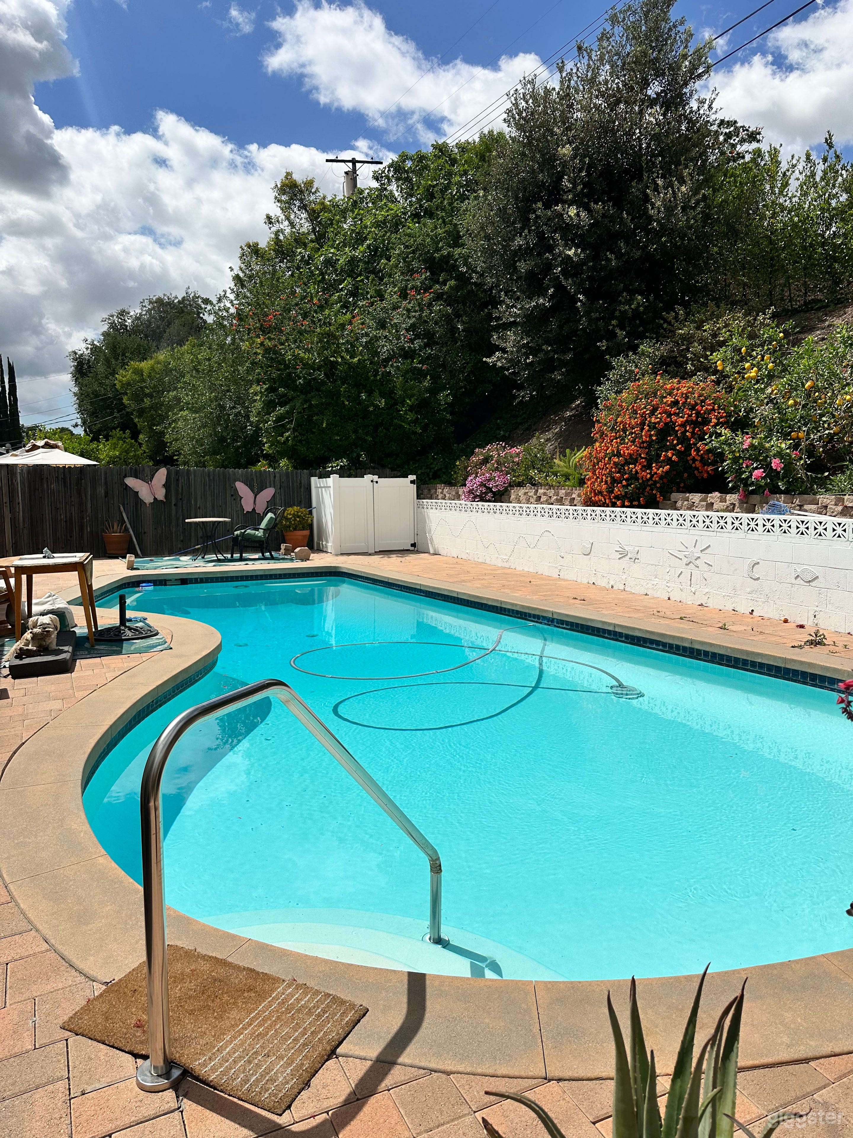 Valley Oasis Photo 4