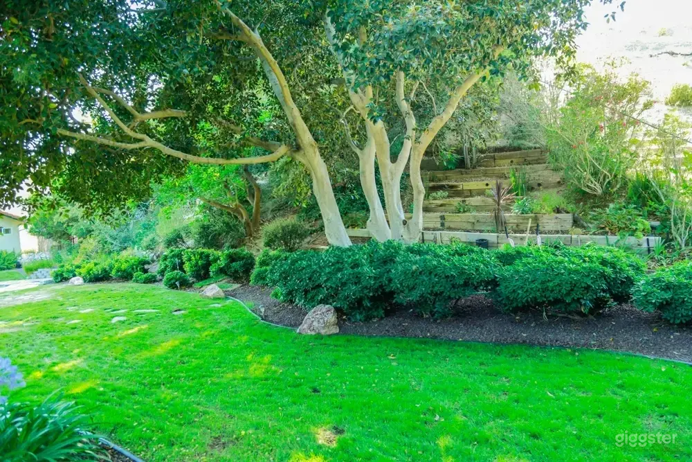 Tropical Desert Oasis on a Ranch-Style Property Photo 4