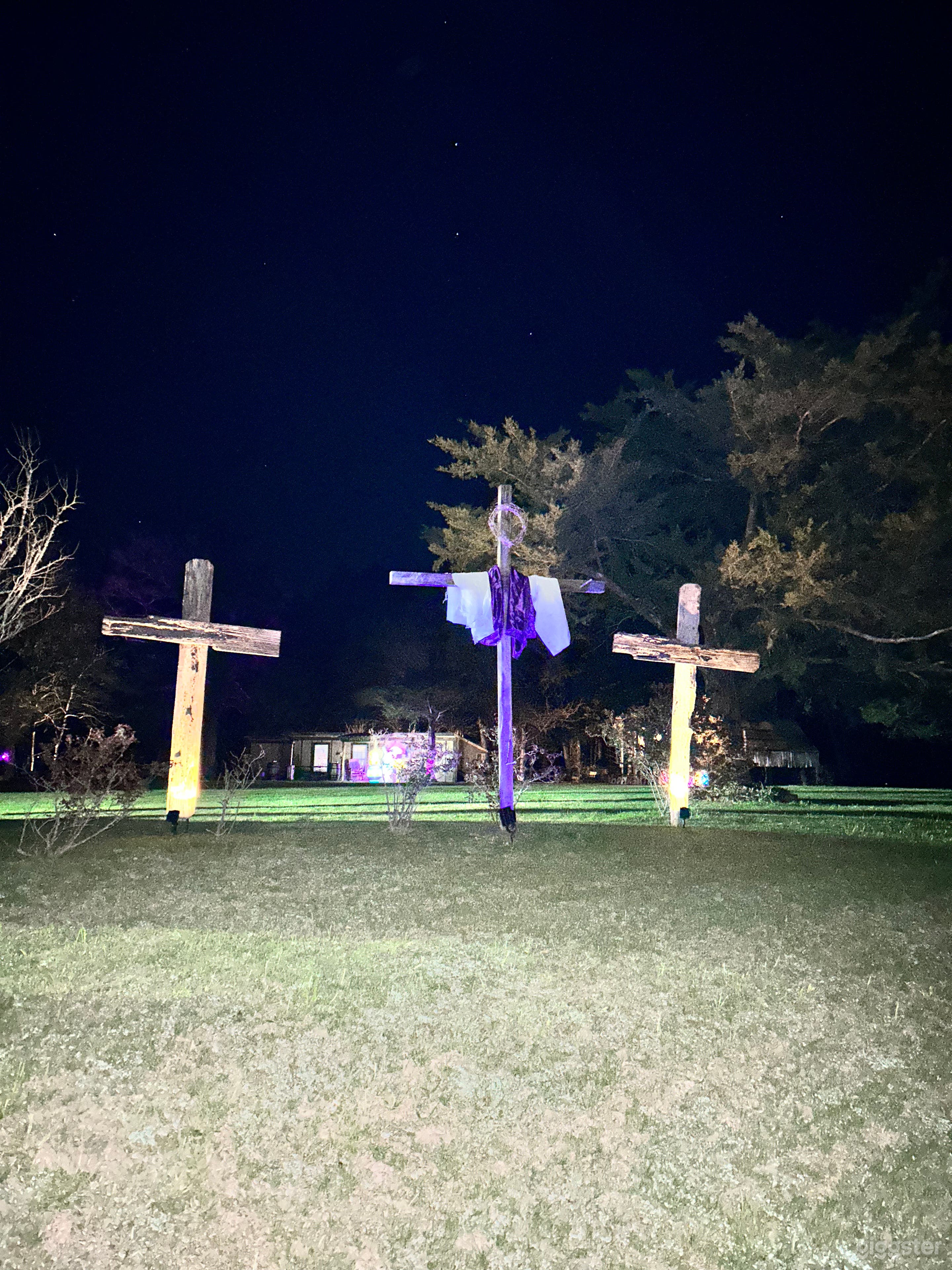 Magical Forest Photo 4