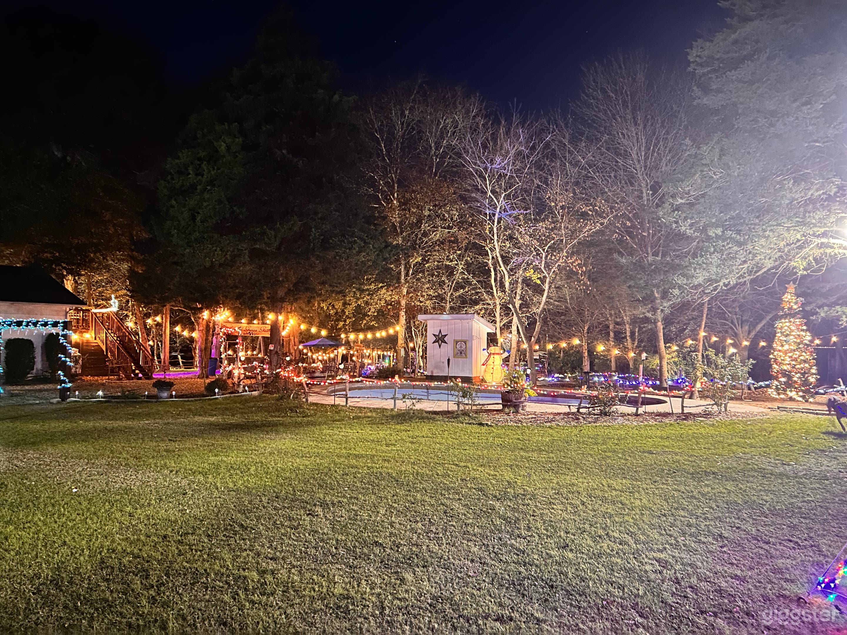 Magical Forest Photo 3