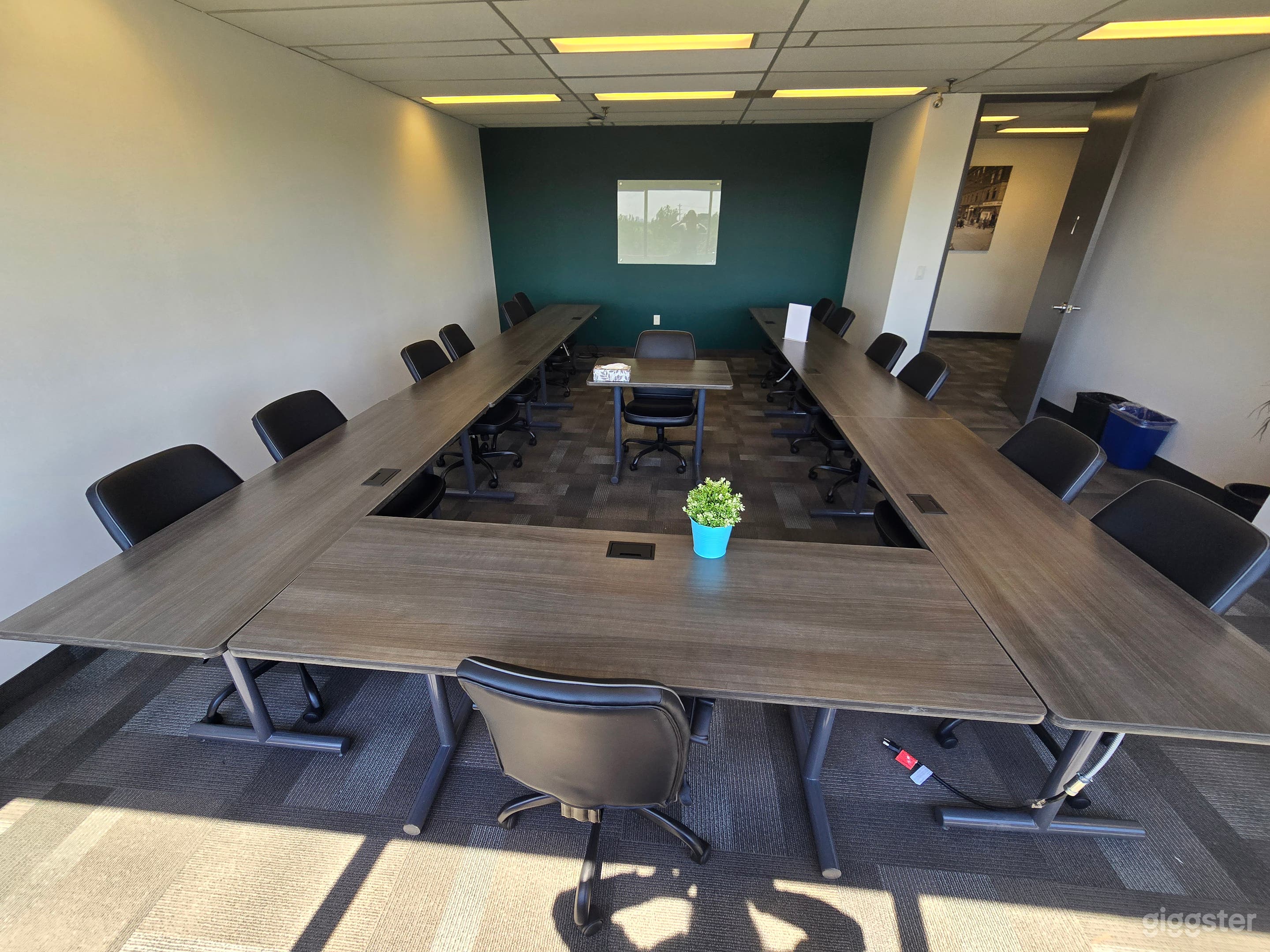 Professional Space for Up to 18 Guests (Room #7) Photo 3