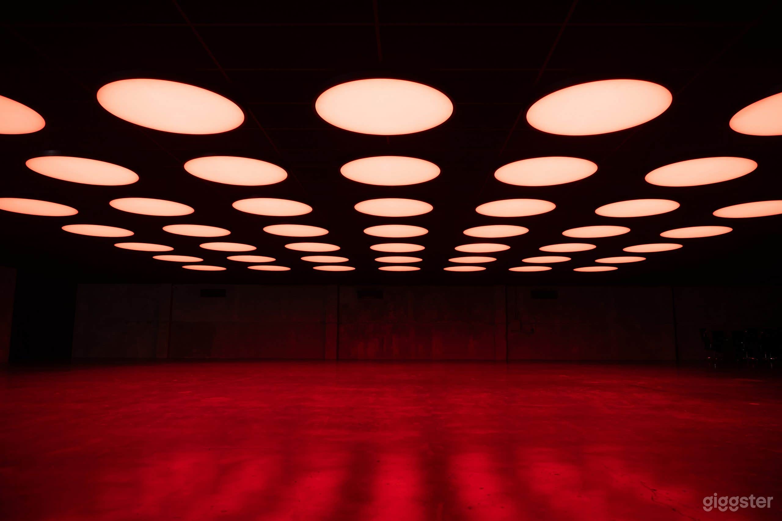 Light Box Stage Photo 4