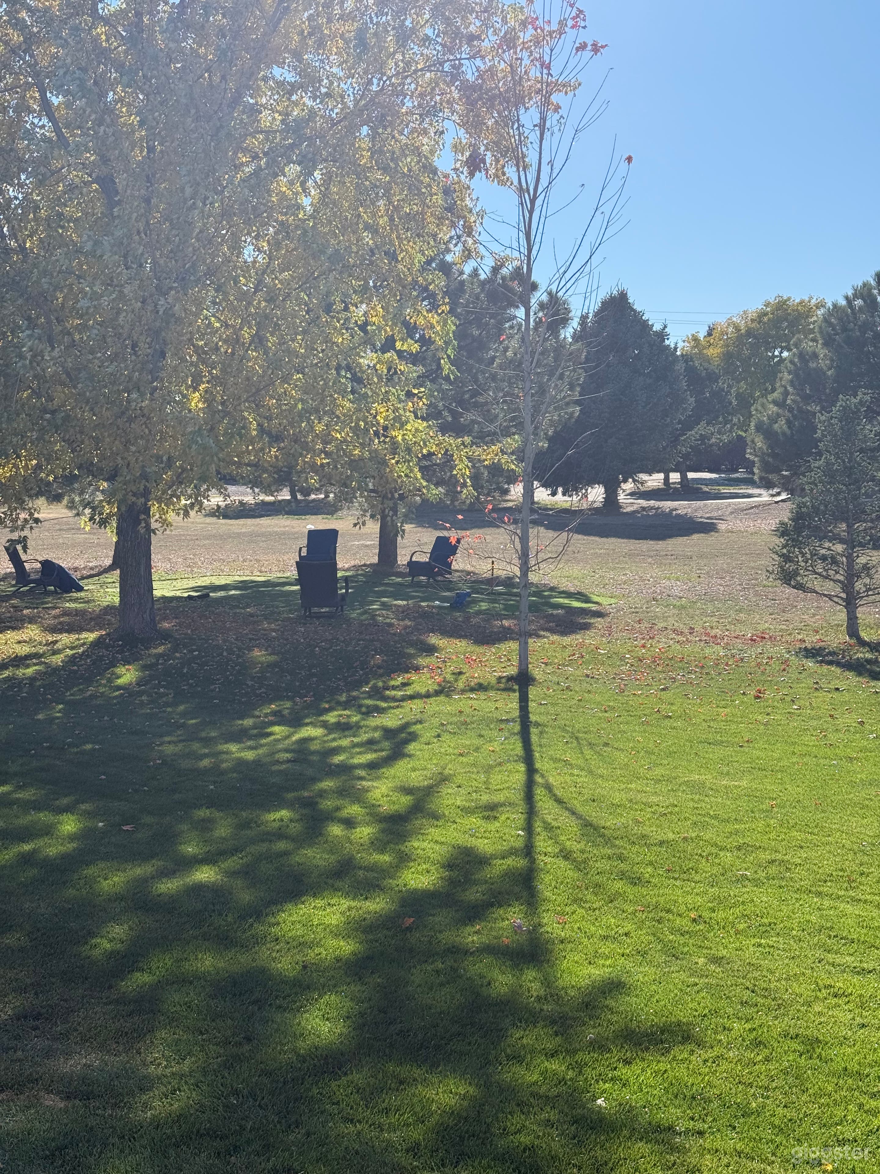 Modern farmhouse haven on 2.5 acres perfect for photo shoot Photo 3