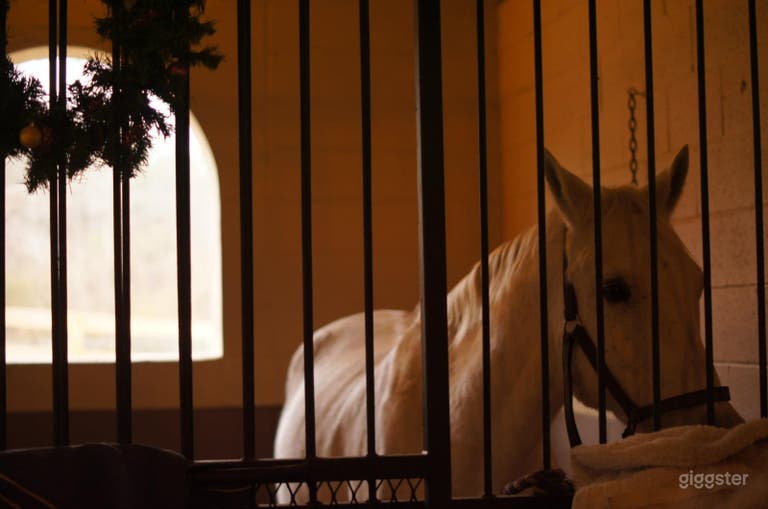  Brick-walled Horse Barn 