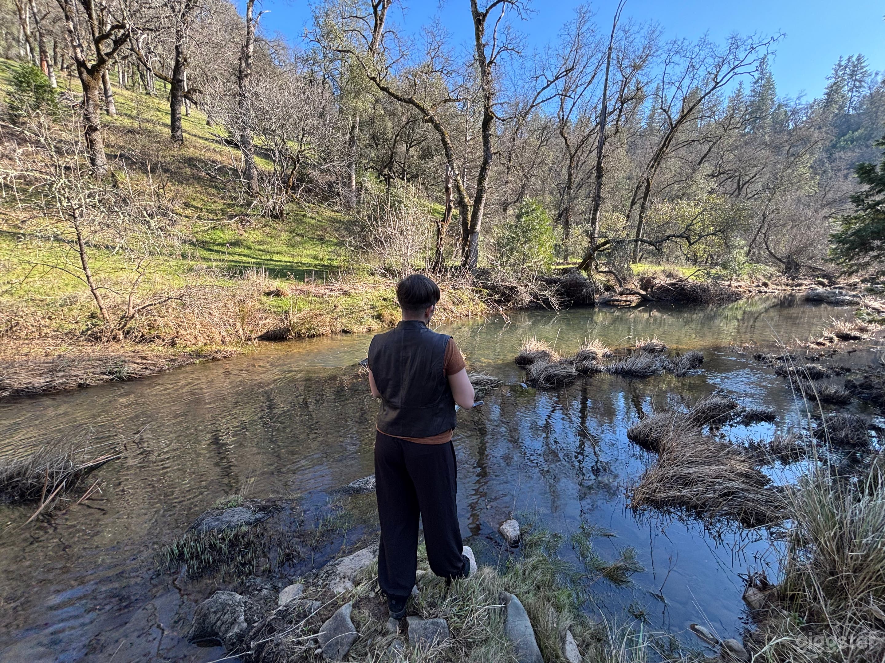 5 Beautiful Acres + Private Creek in Grass Valley Photo 3