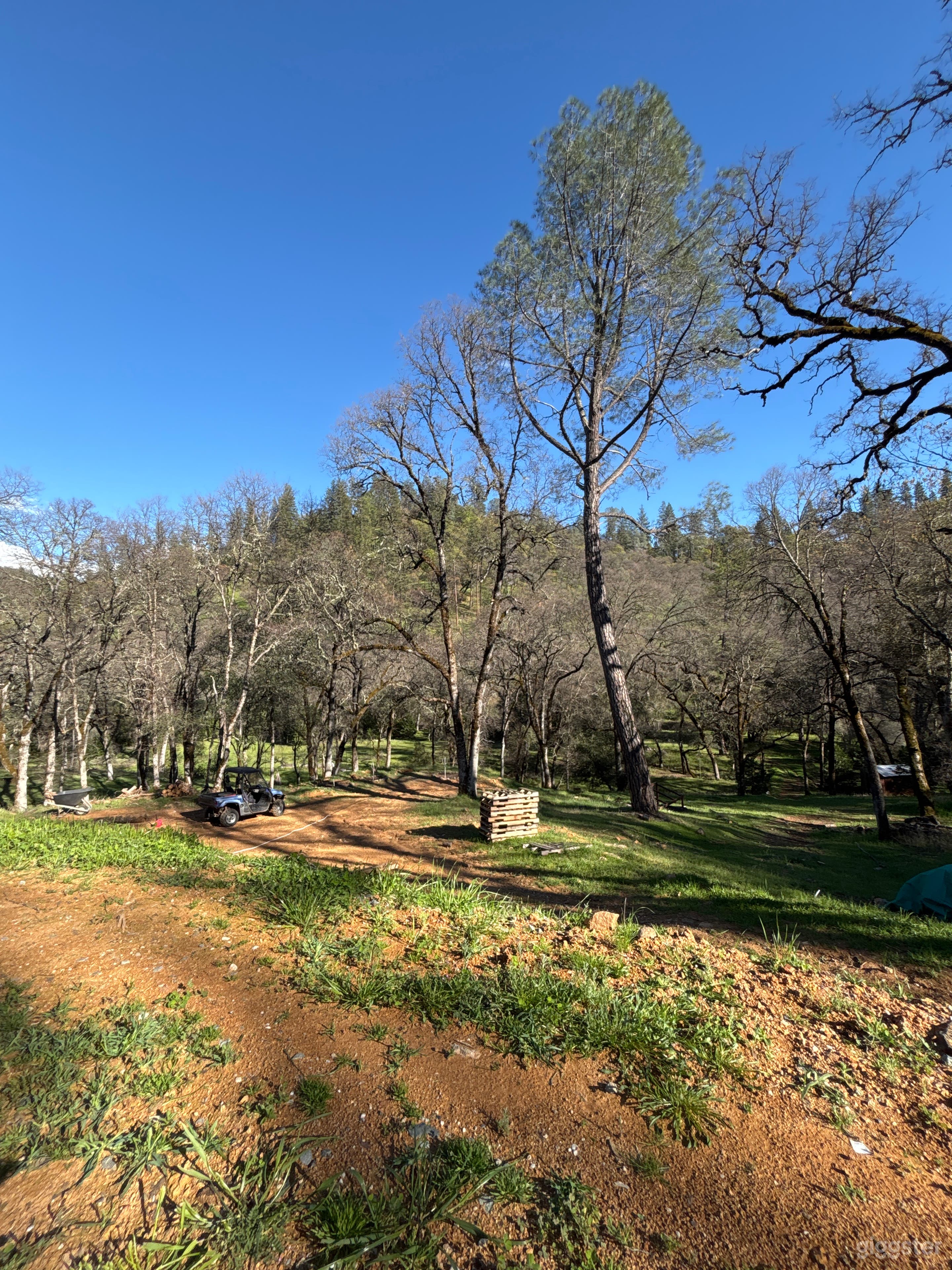 5 Beautiful Acres + Private Creek in Grass Valley Photo 4
