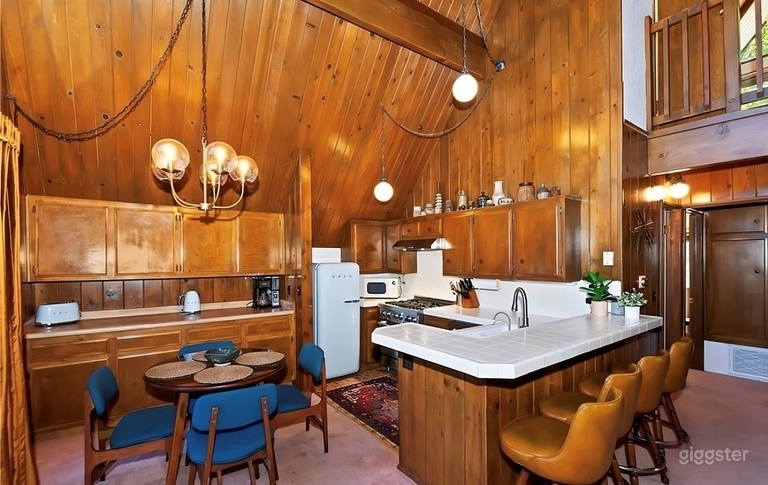  Graceland Vintage 60s 70s A Frame Retro Cabin 